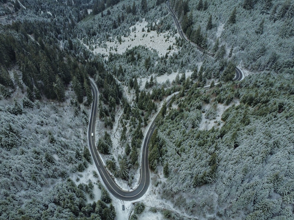 a winding road in the middle of a snowy forest