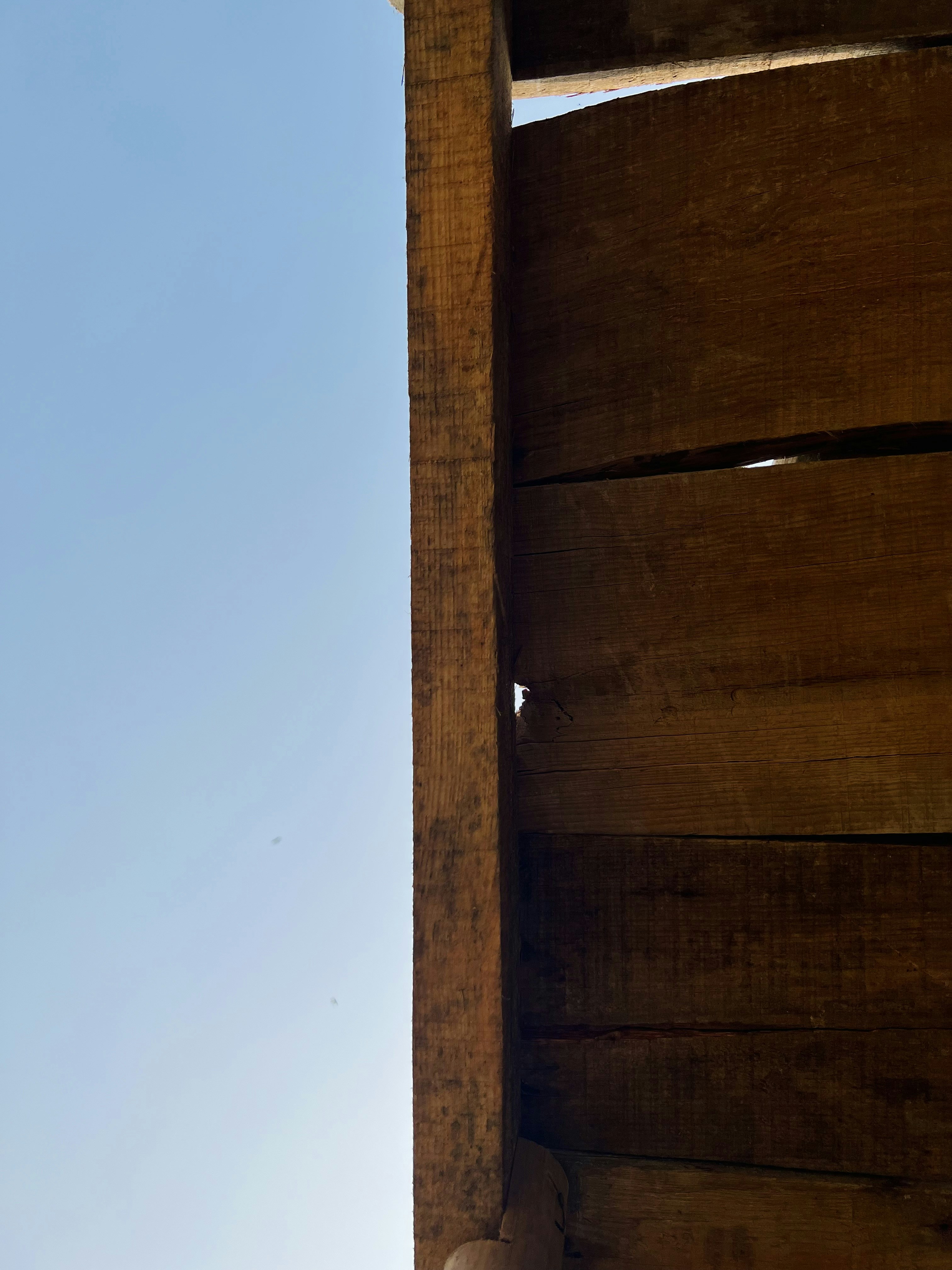 Photo by nightsinwhitesatin