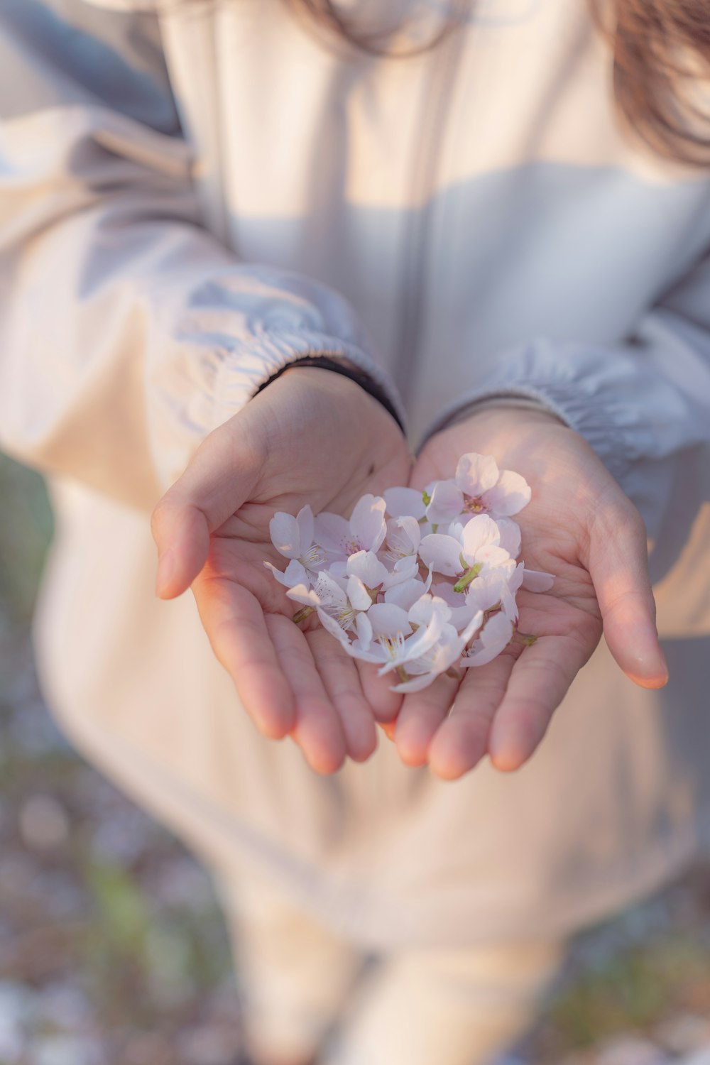 a person holding a bunch of flowers in their hands