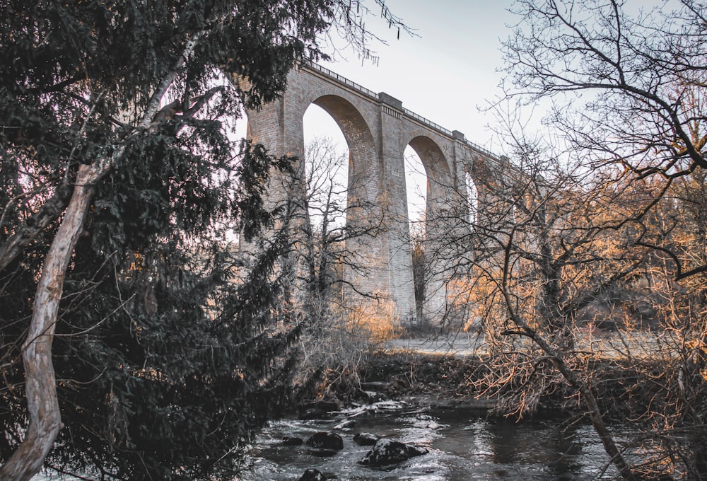 Un ponte su un fiume con alberi in primo piano