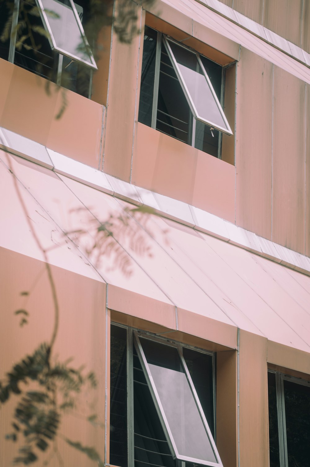 un bâtiment rose avec deux fenêtres et une plante devant lui