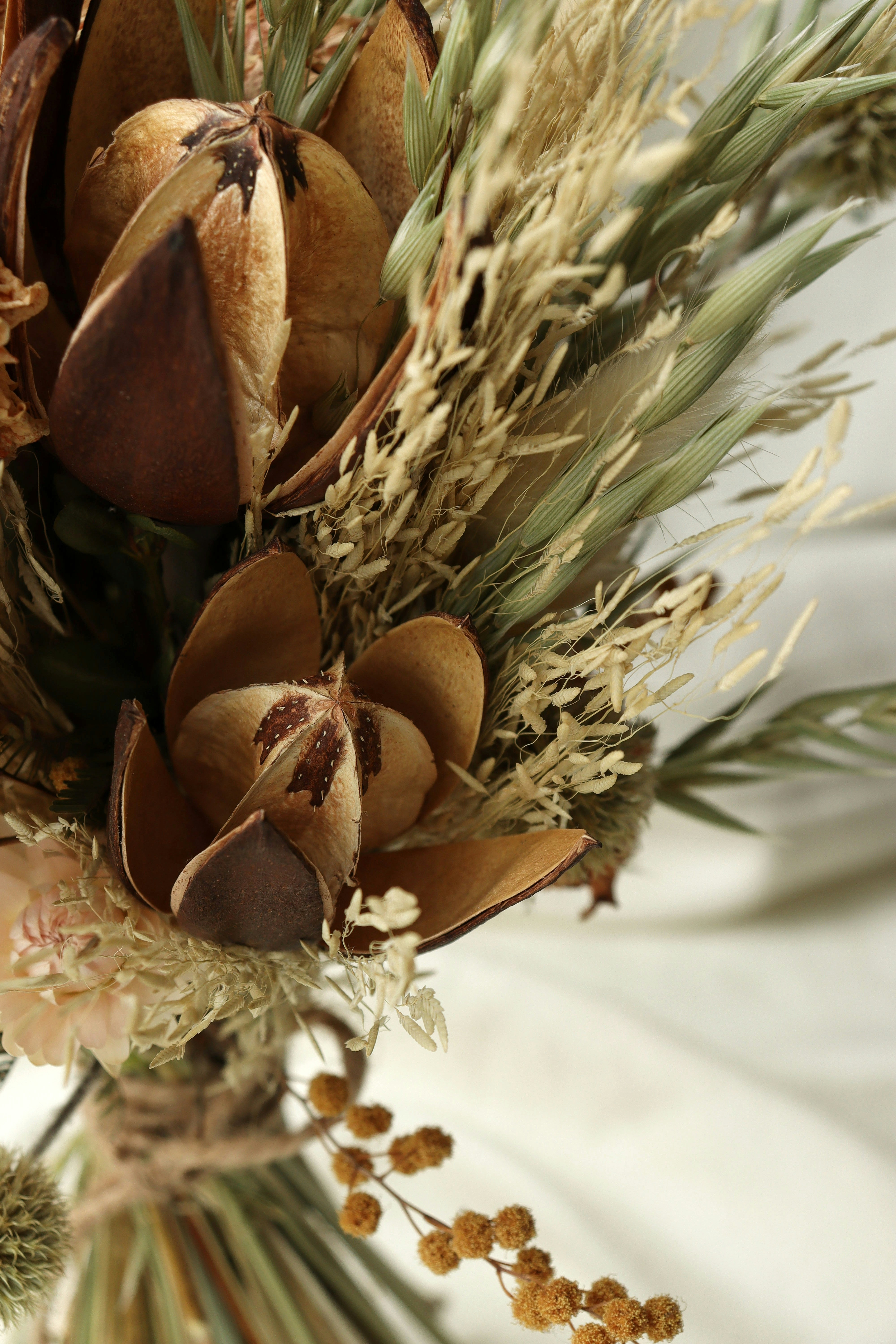 Photo by fridaflowers