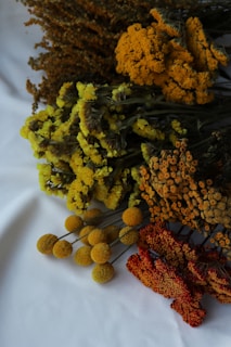 A collection of assorted flowers in various stages of arrangement.
