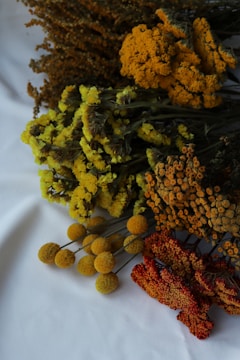 A collection of various dried flowers arranged on a white surface, featuring clusters of yellow, orange, and red blooms. The flowers are in different stages of drying, showcasing textures that range from dense clusters to more open, rounded shapes.