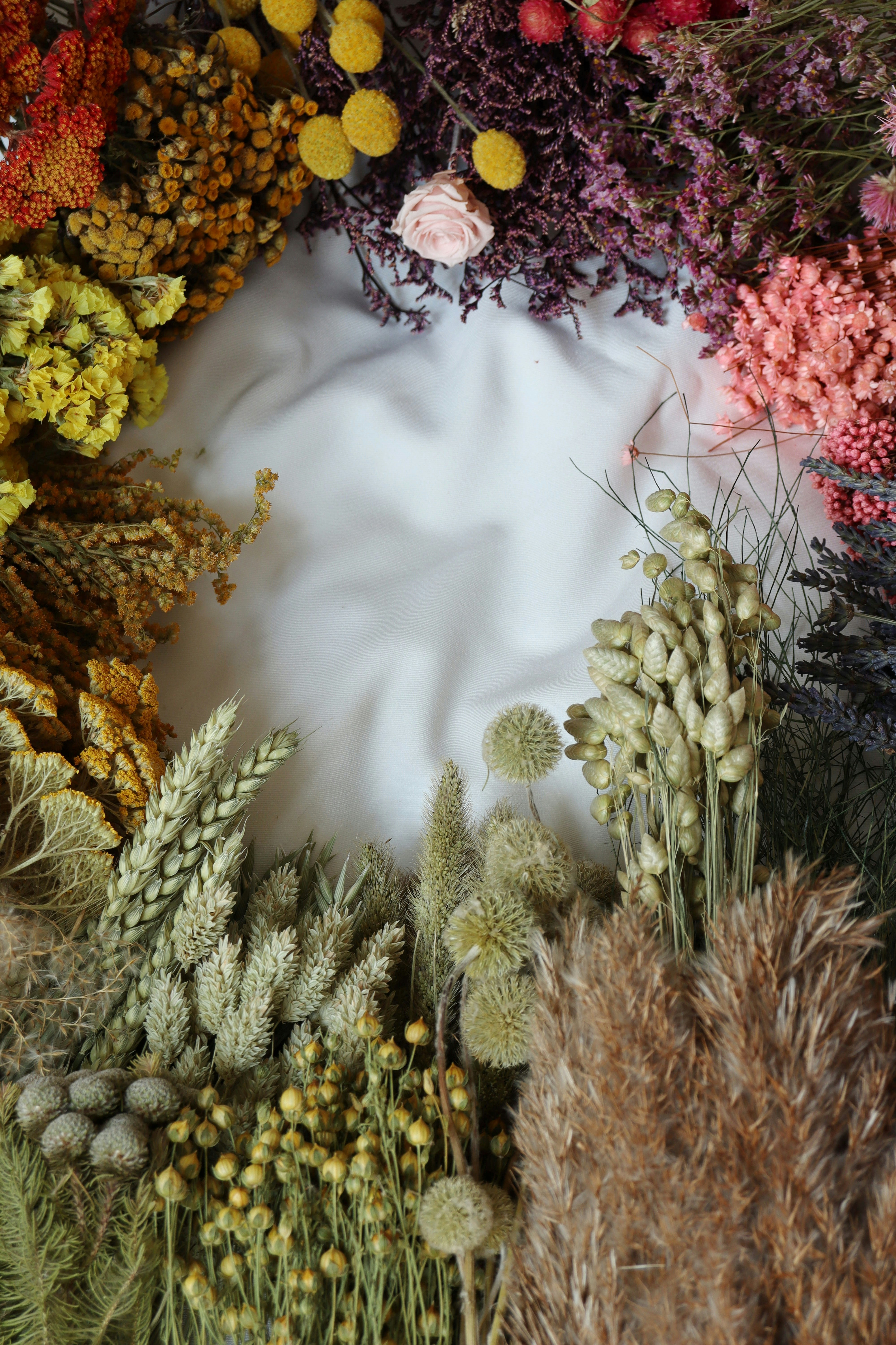 Photo by fridaflowers