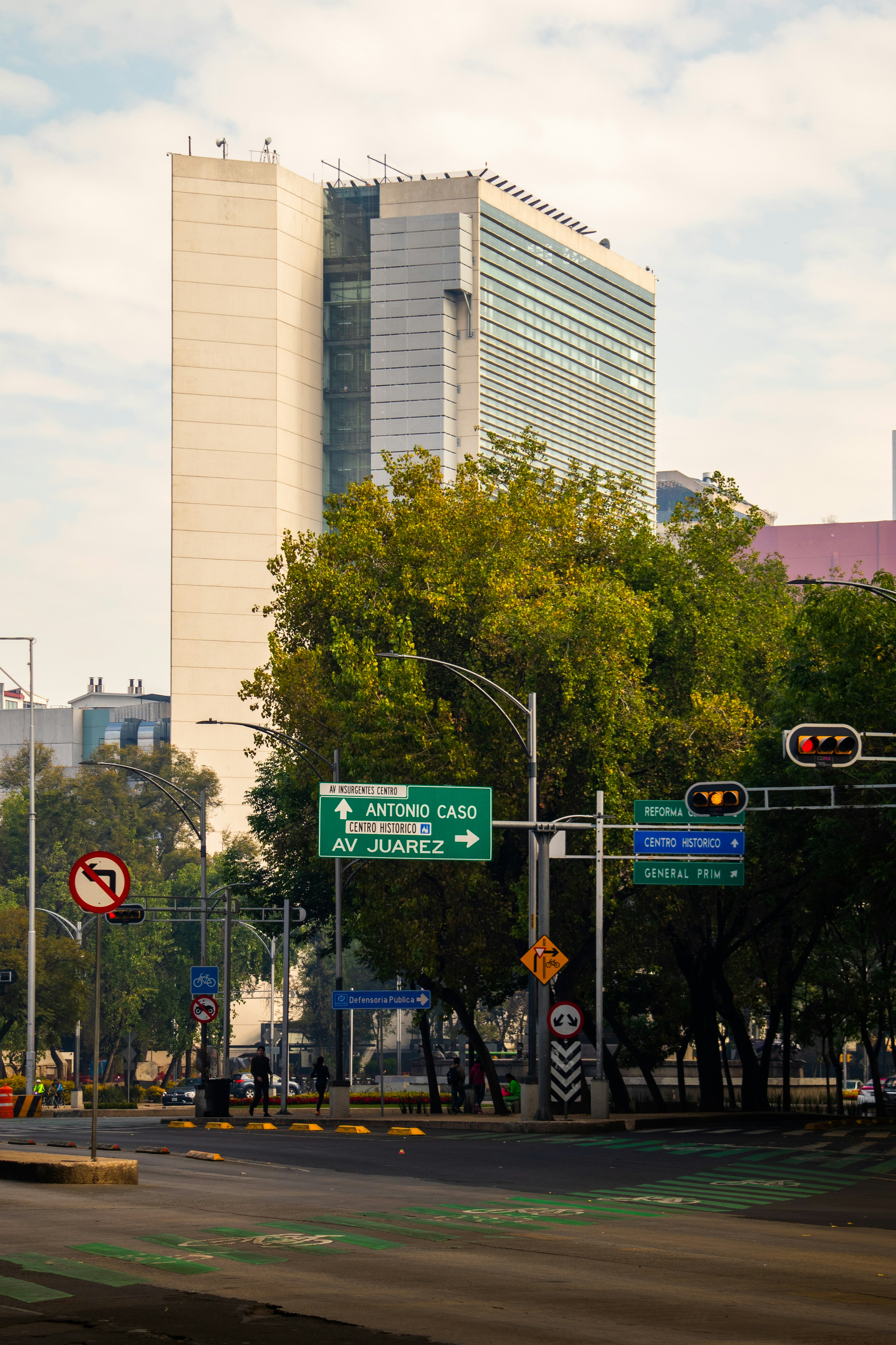 Servicios profesionales de inteligencia artificial en Guadalajara