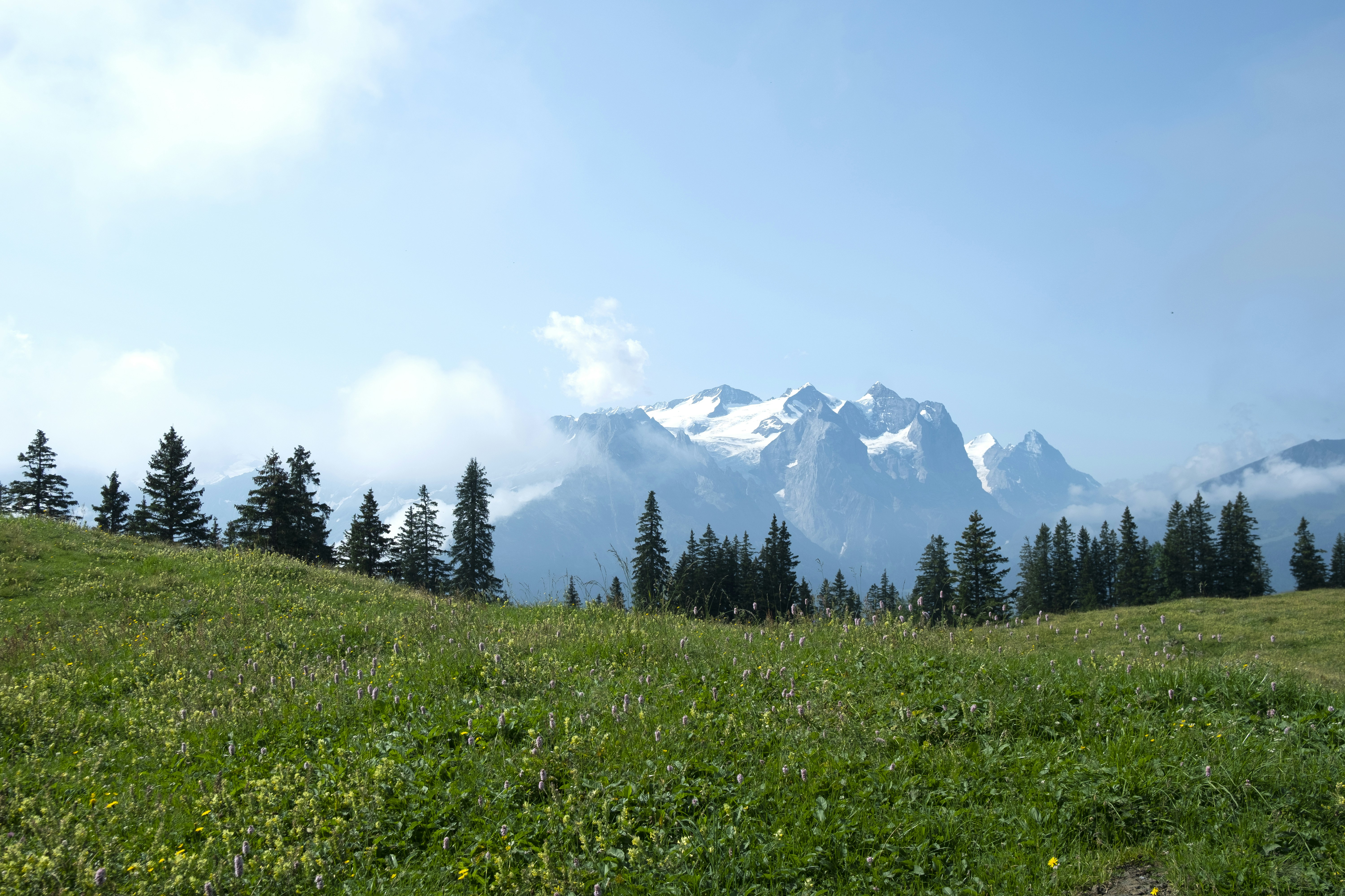 Photo by ingmarlarsen