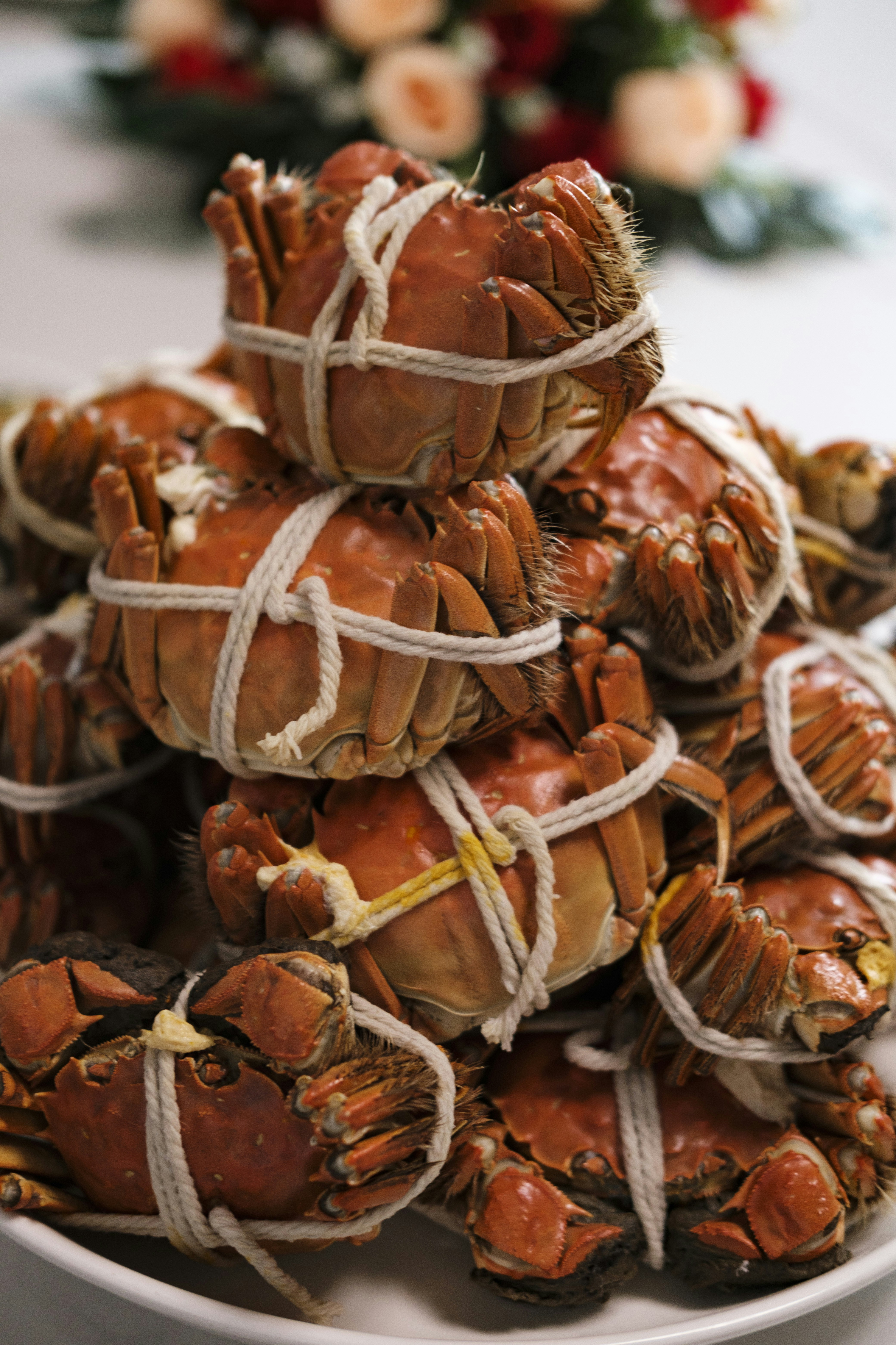9 Easy Crab Recipes for Simple Family Traditions