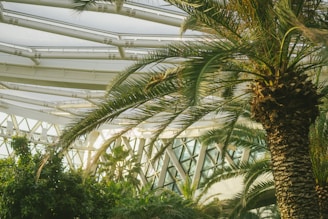 Interior shot of a sunlit MICE complex featuring lush indoor plants and eco-friendly materials.
