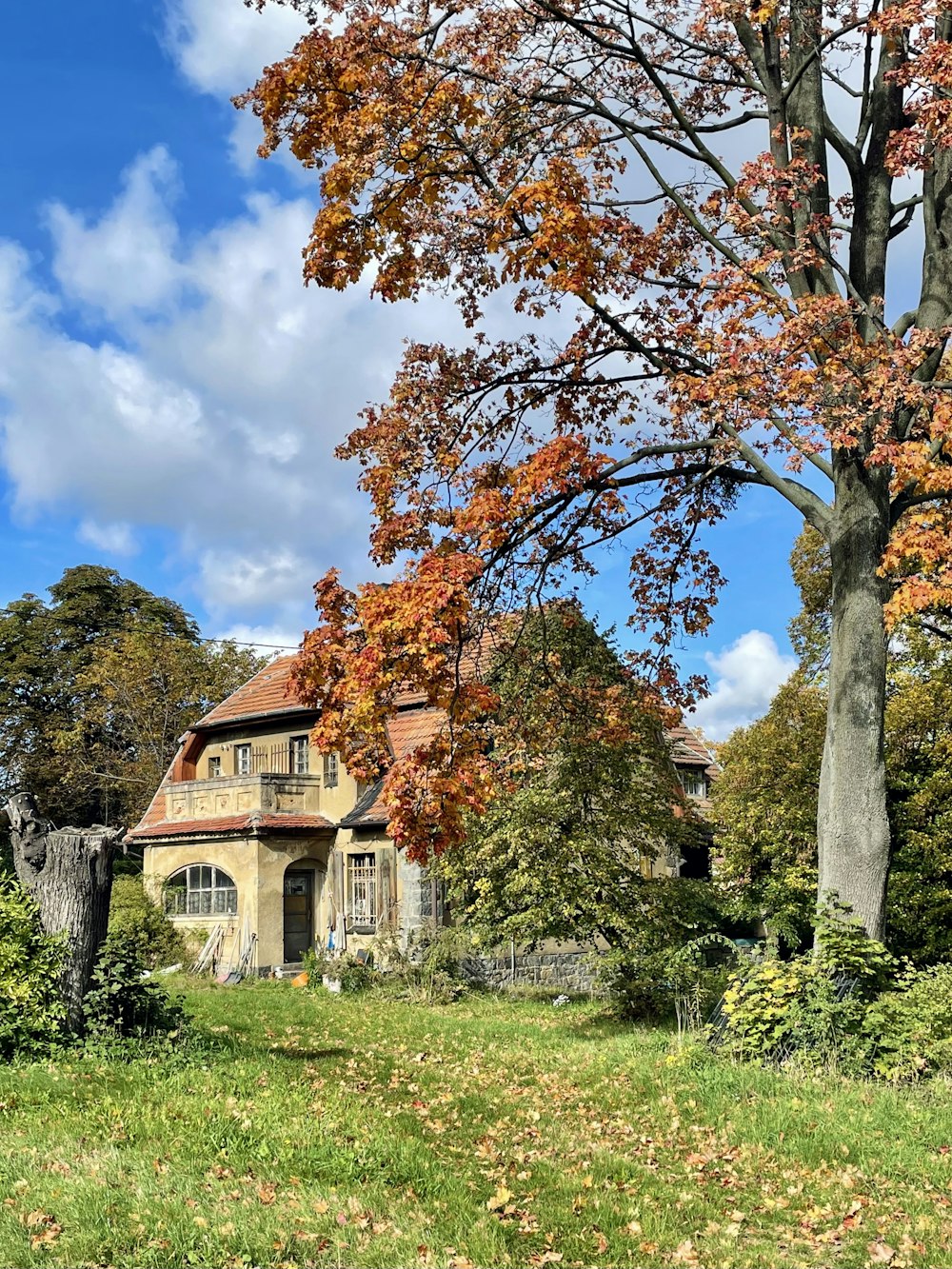 uma casa com uma árvore na frente dela