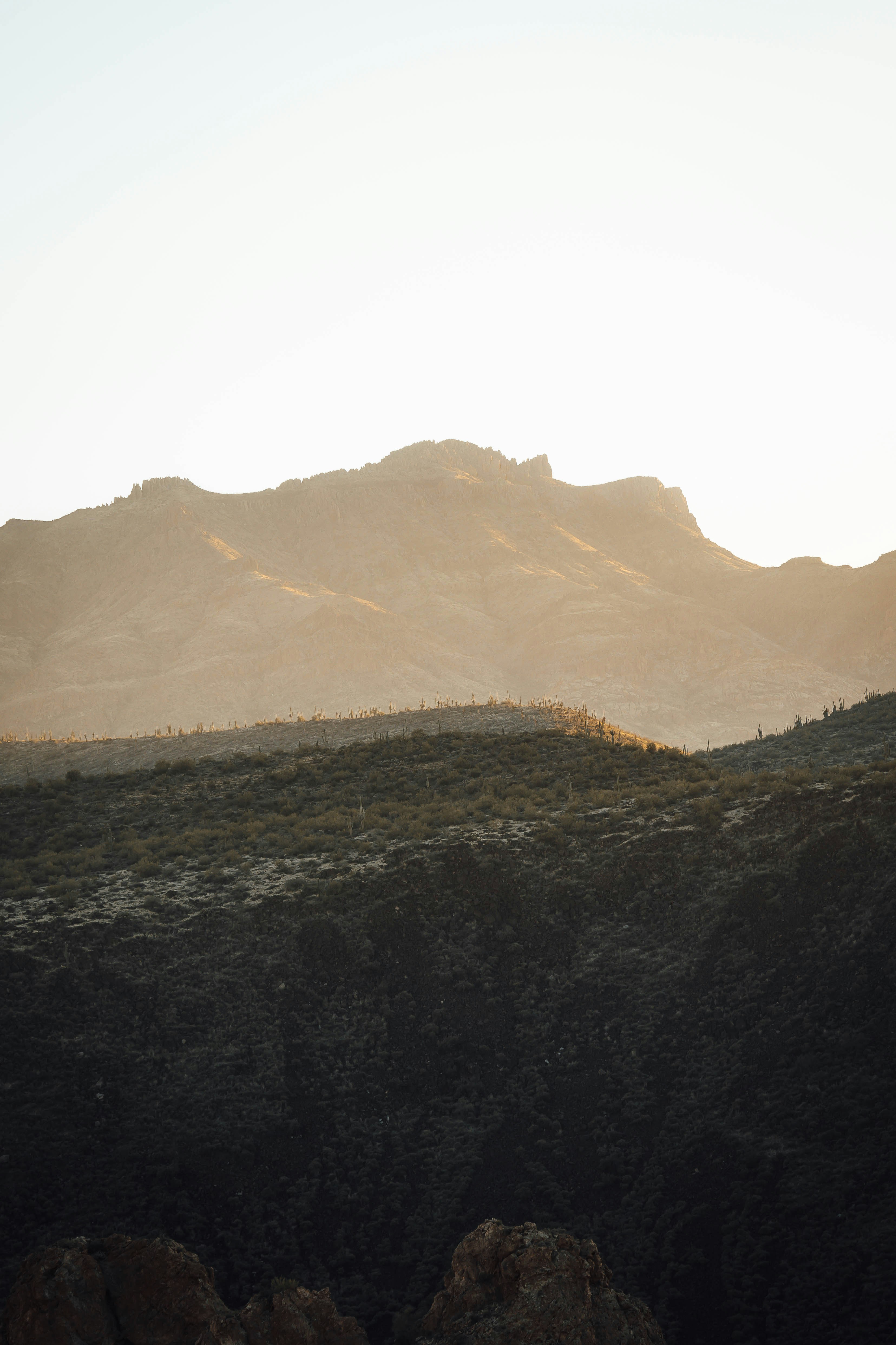 Photo by jeffersonsees