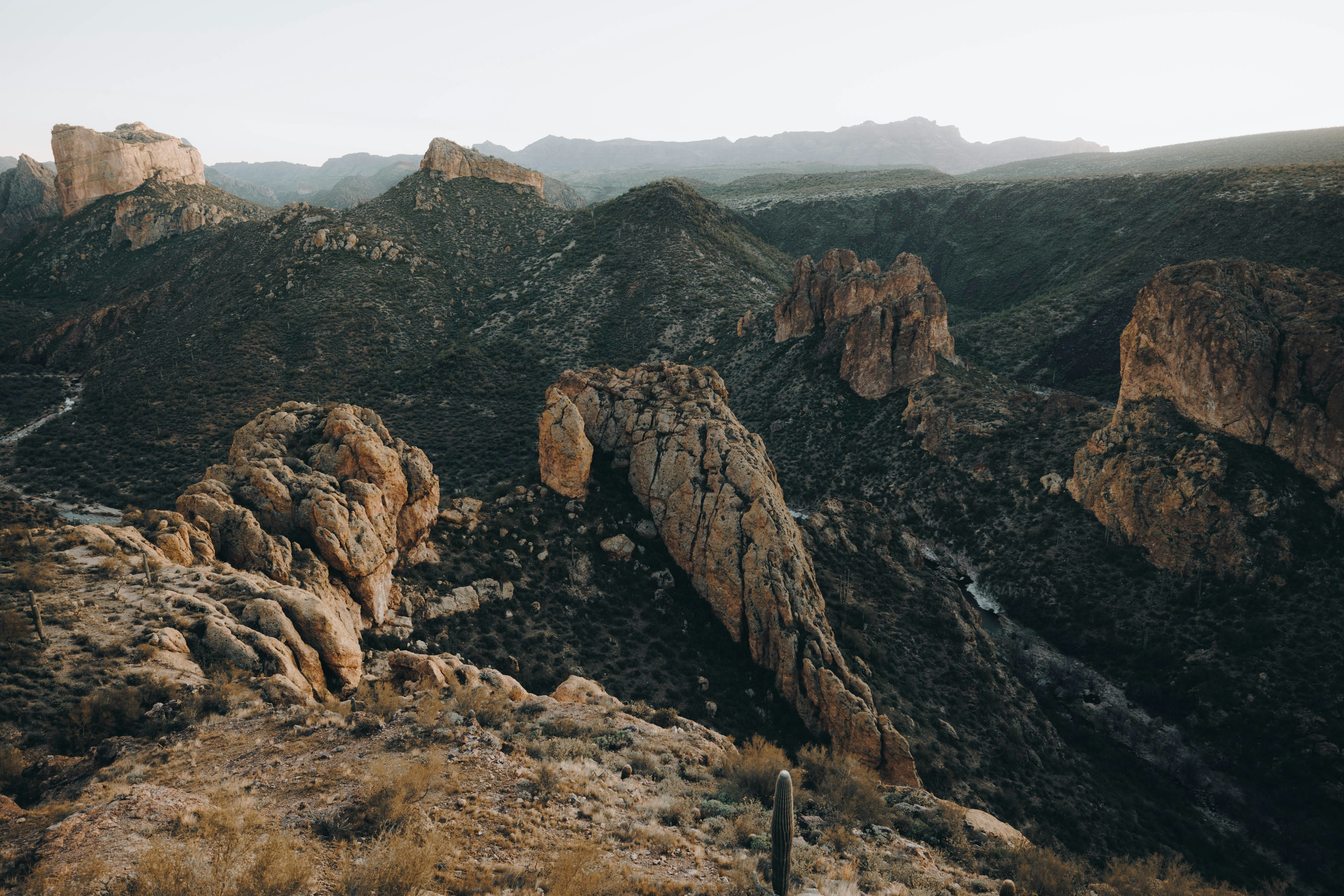 Photo by jeffersonsees