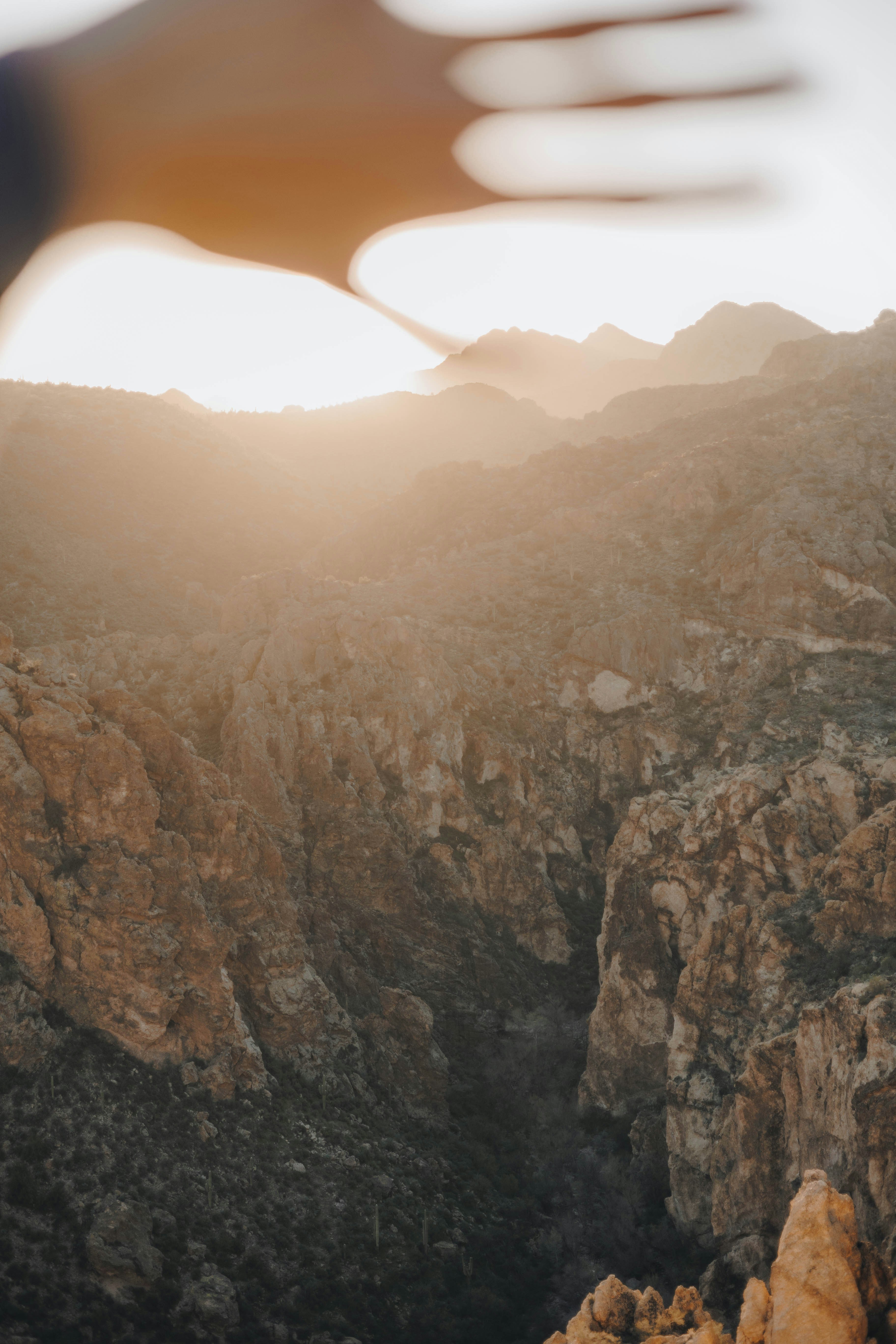 Photo by jeffersonsees