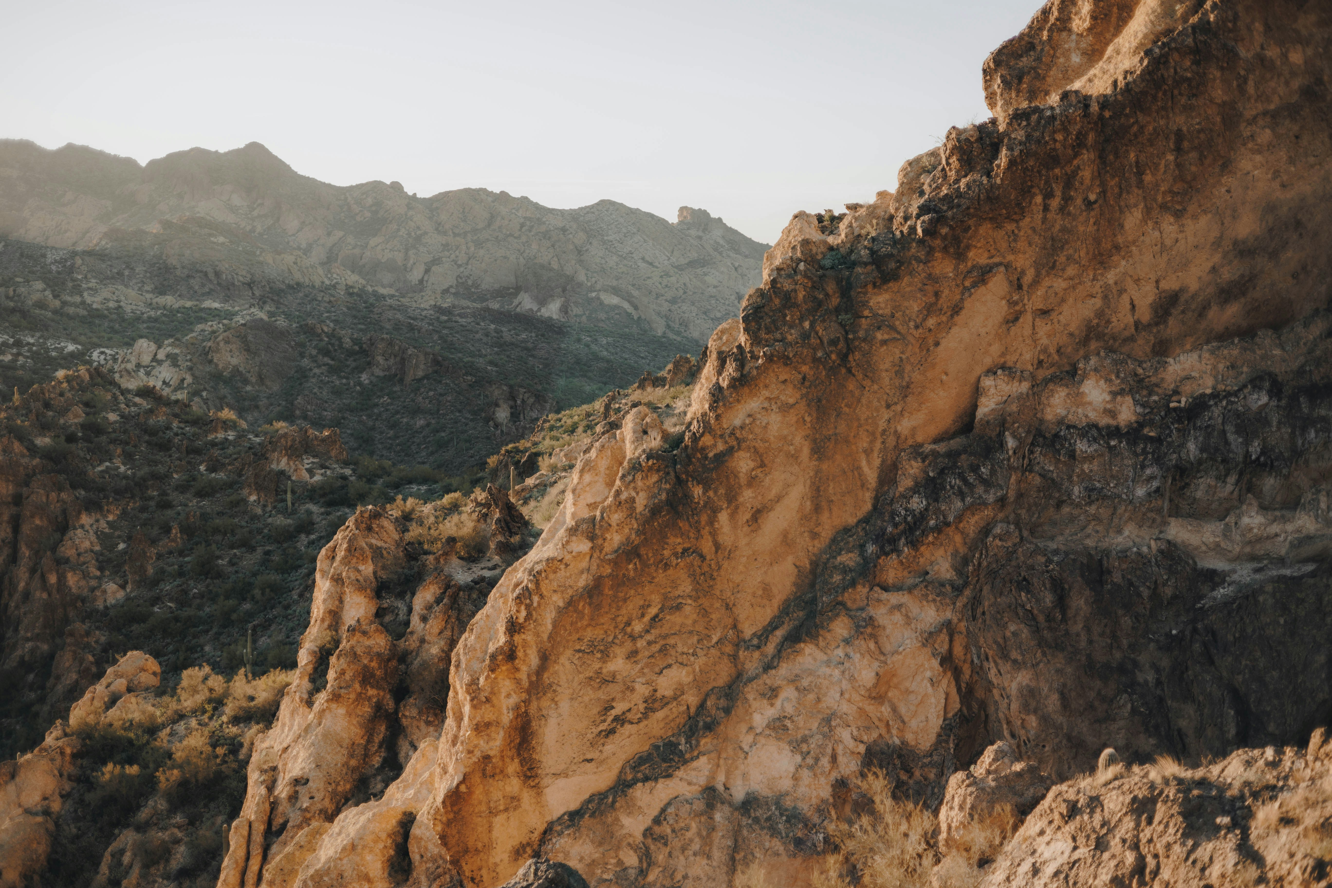 Photo by jeffersonsees