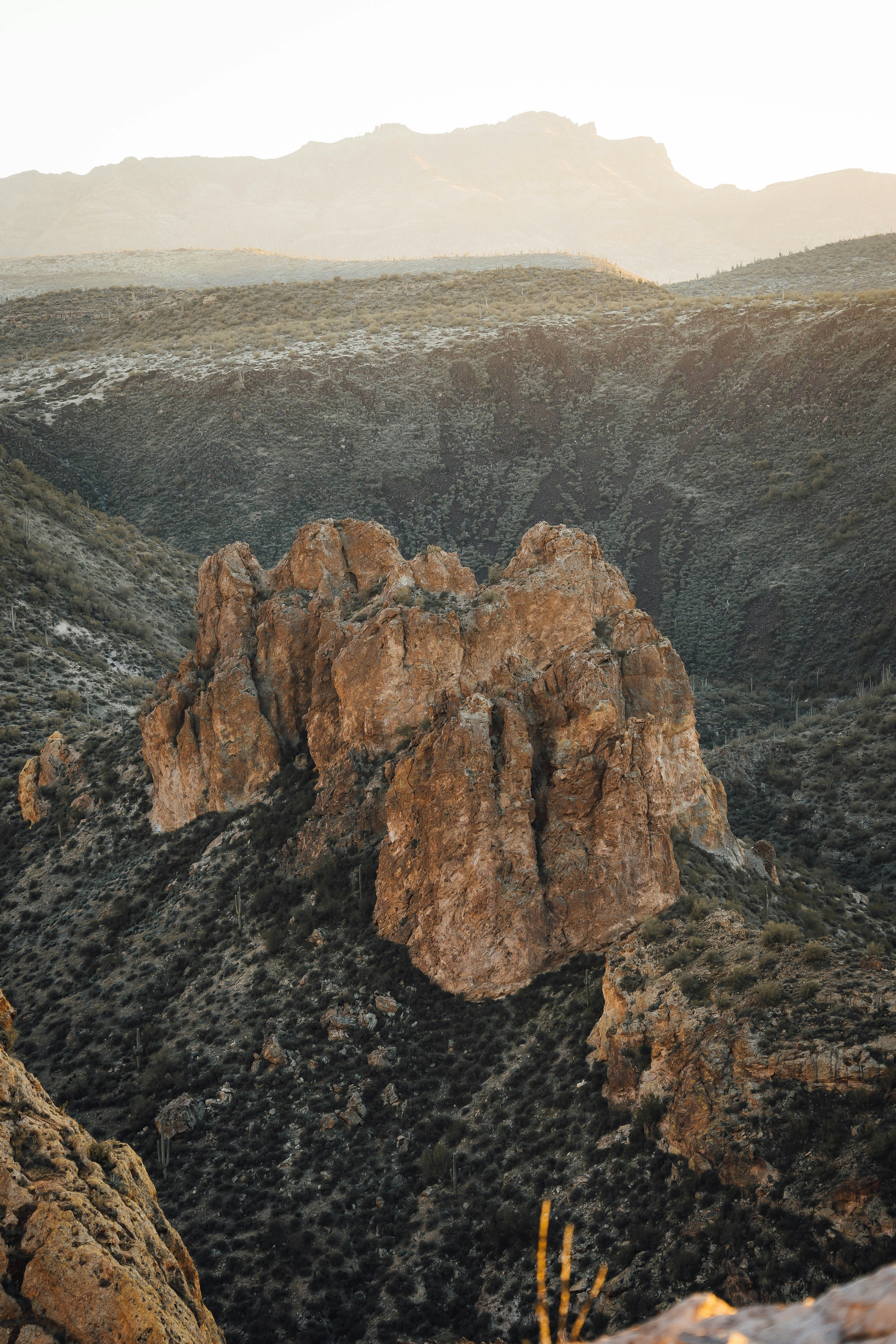 Photo by jeffersonsees