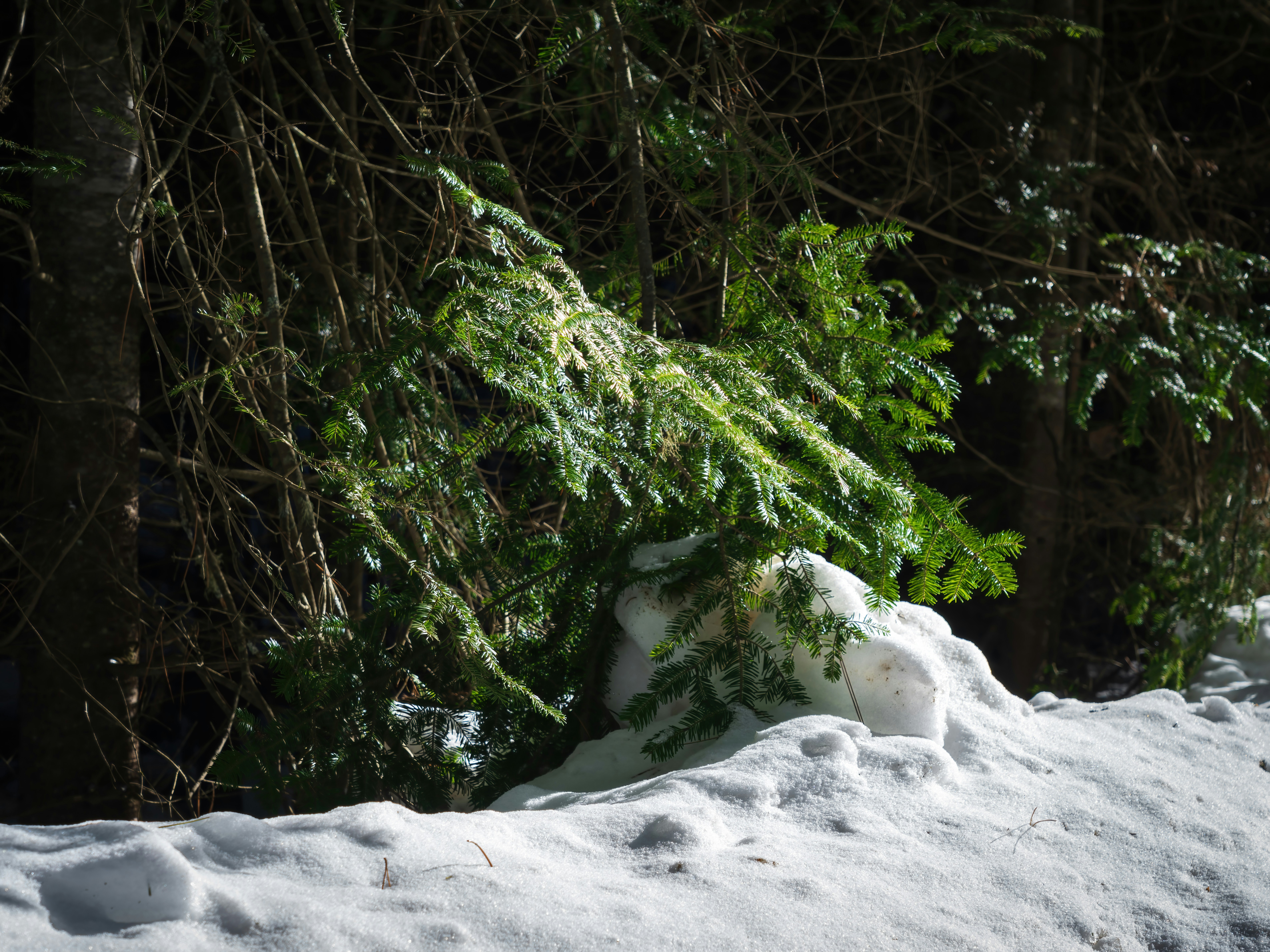 Down Under Snow Hill Menu