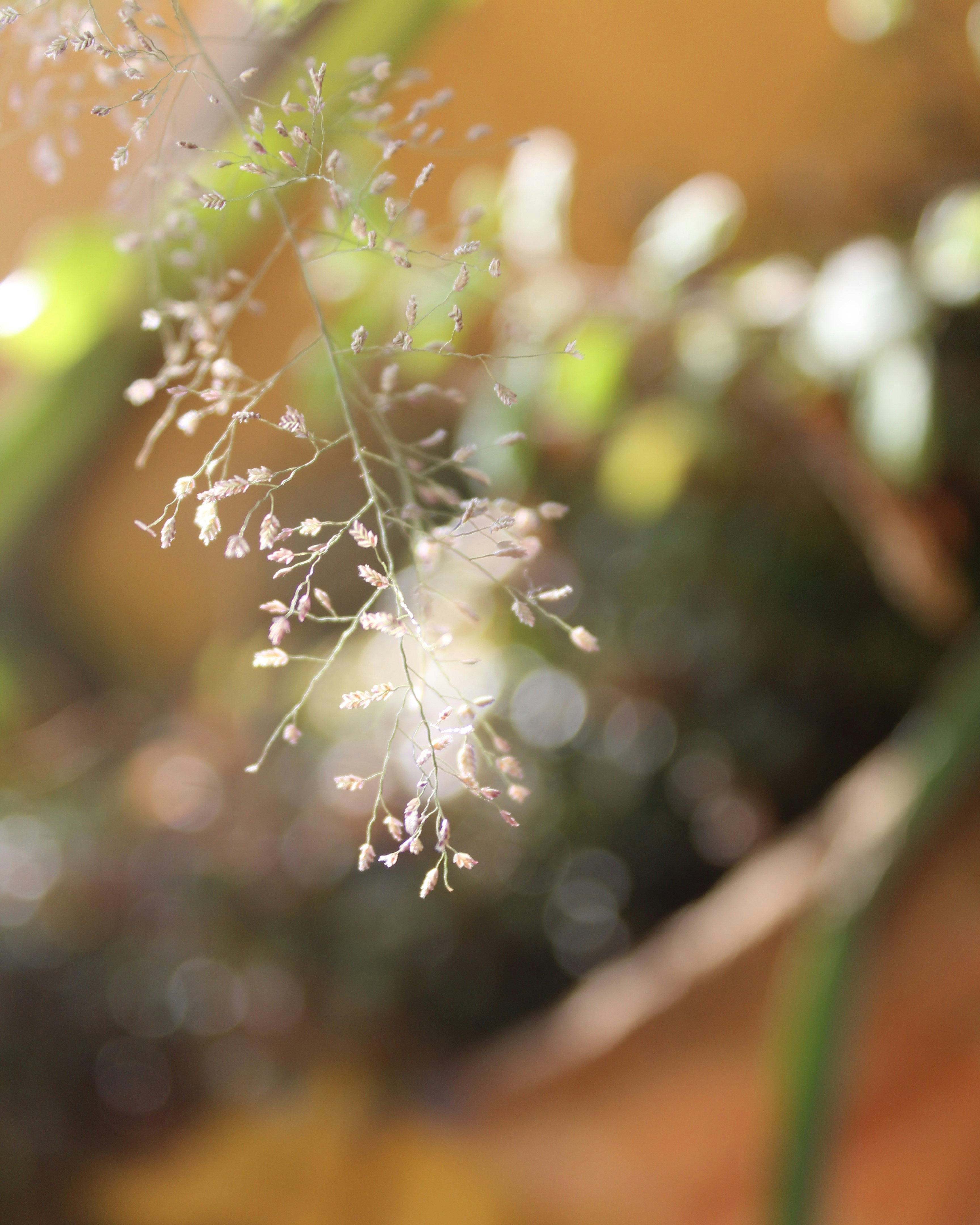 Photo by sriharsha26