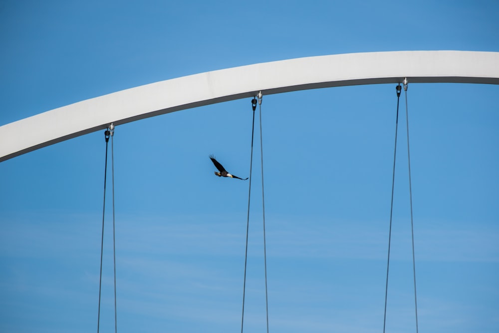 a bird flying over a bridge with a blue sky in the background