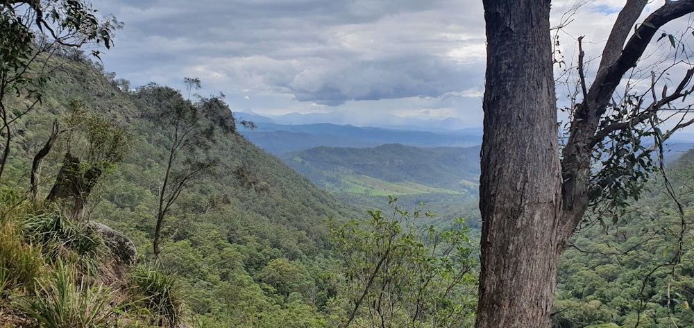 a view of the mountains from the top of a hill