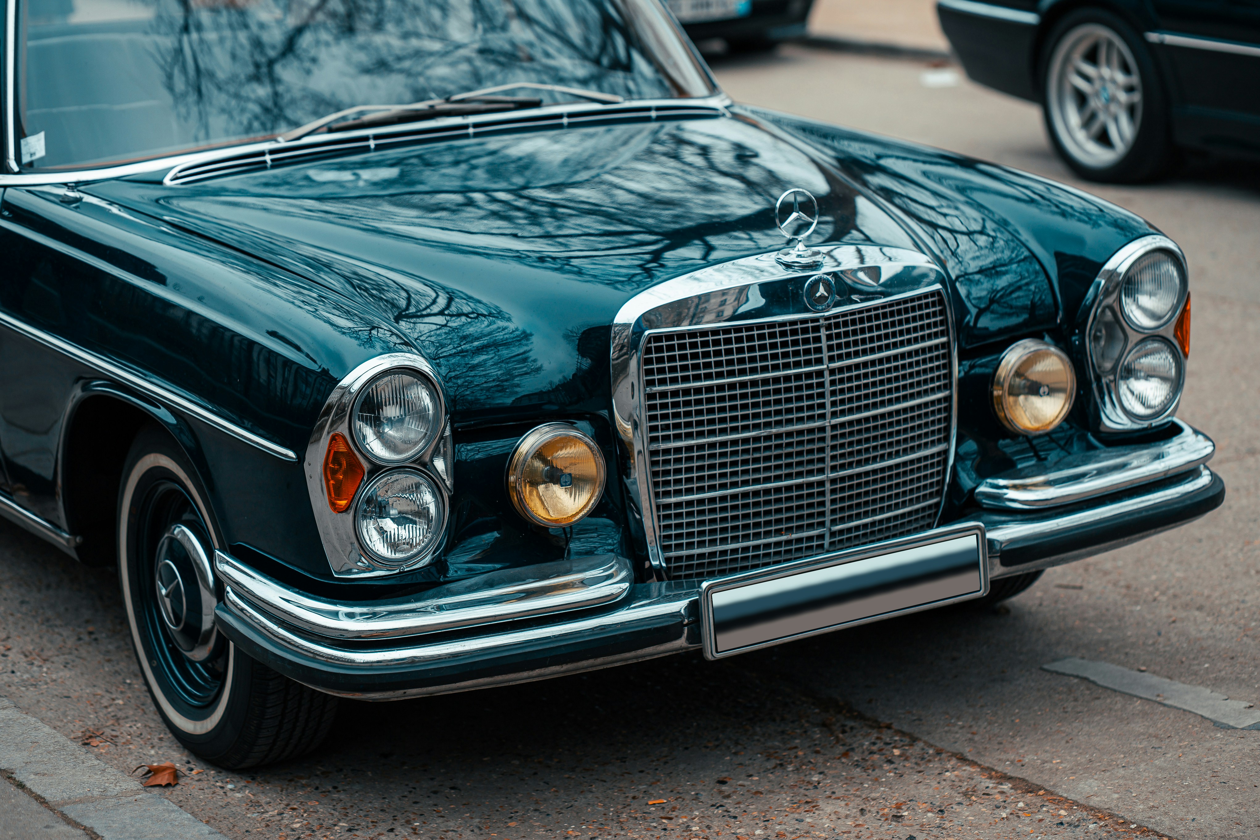 Photo by almeidajorgephotographie