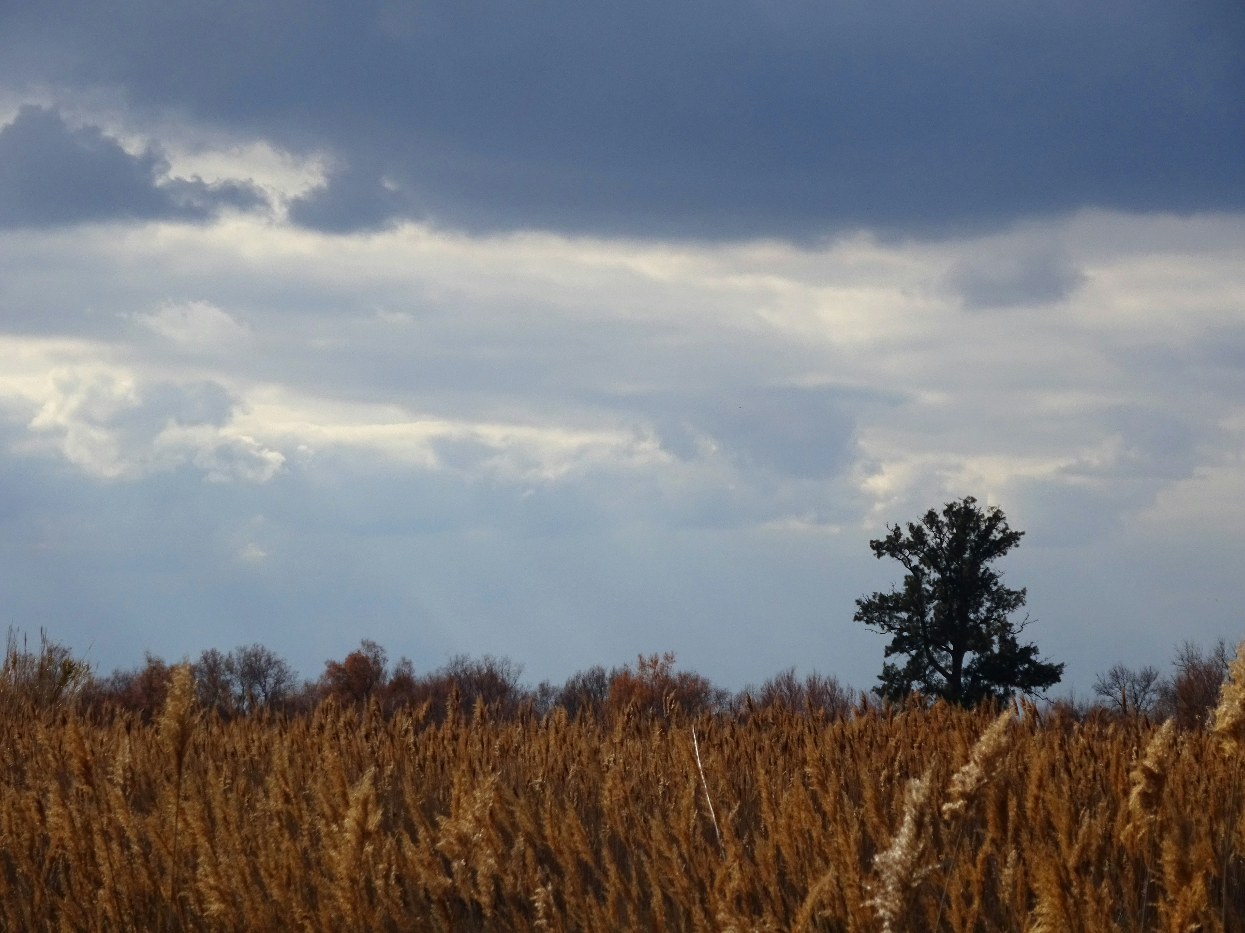 Photo by ludovico_06