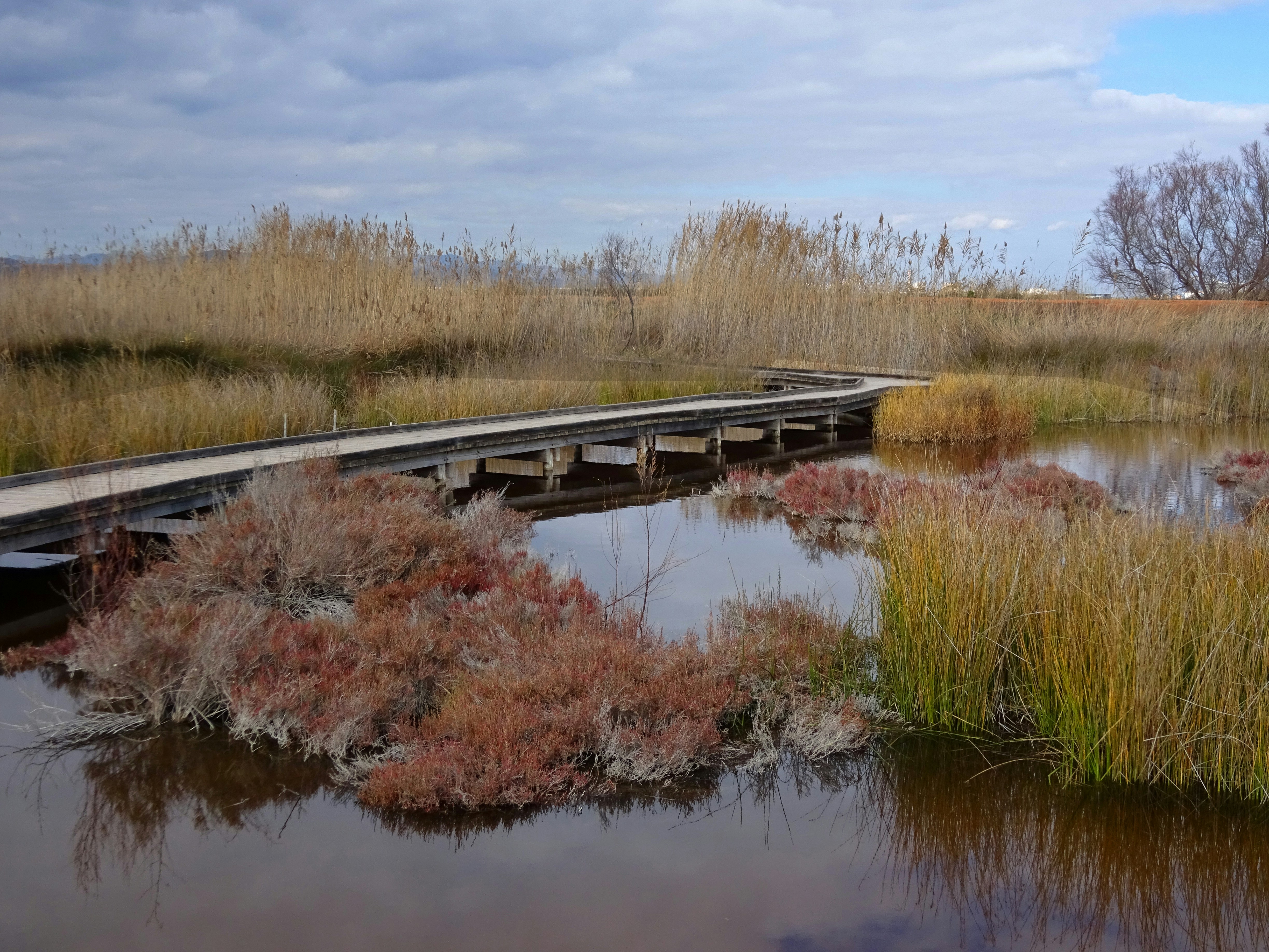 Photo by ludovico_06