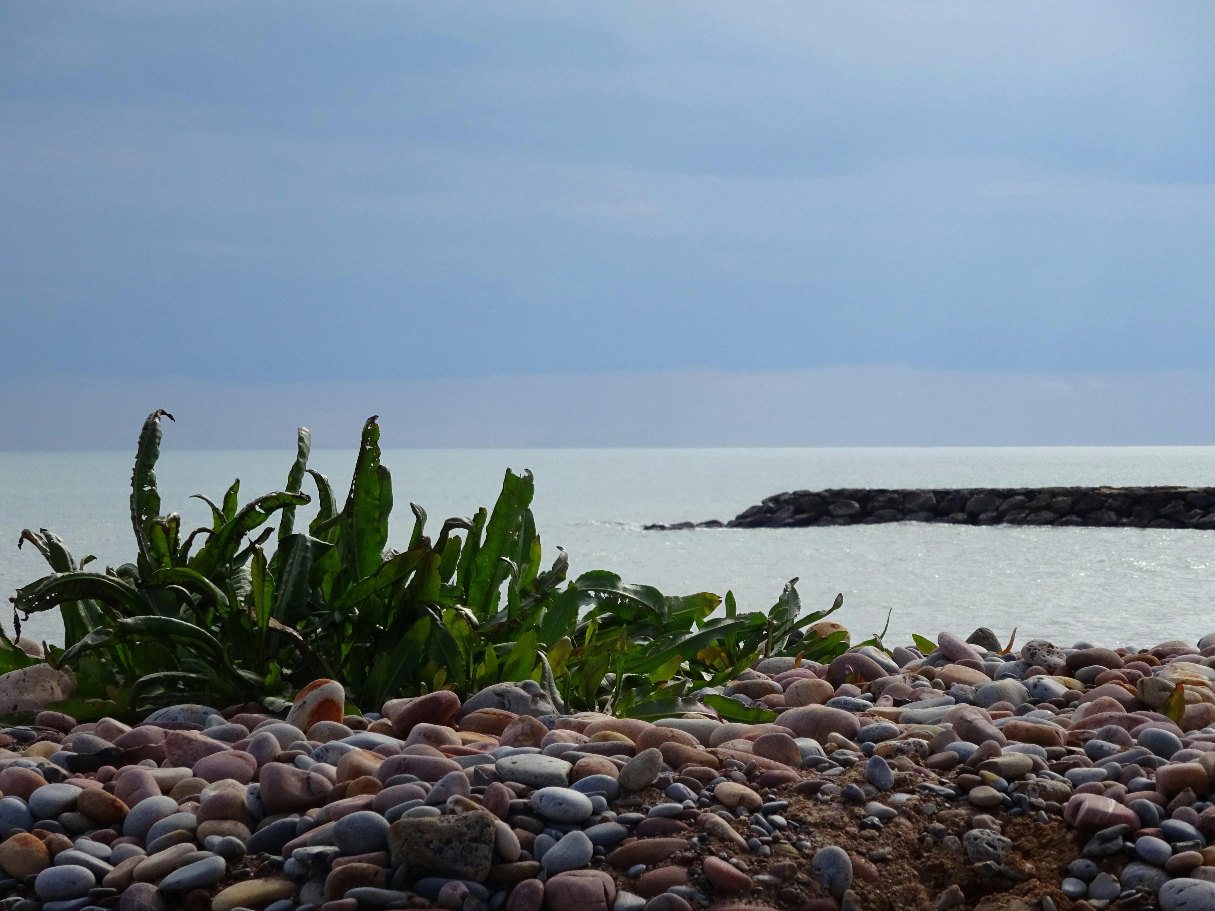 Photo by ludovico_06