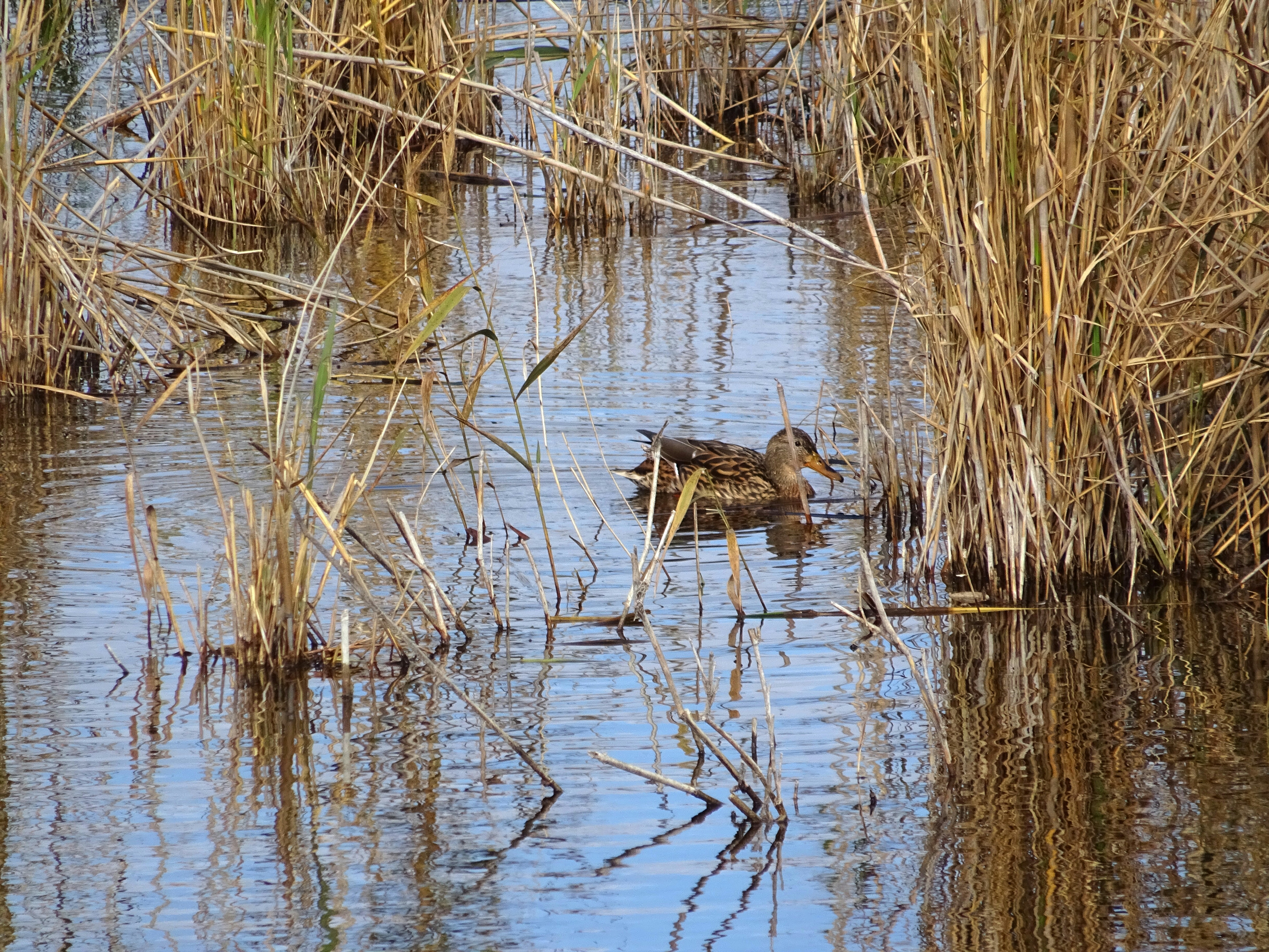 Photo by ludovico_06