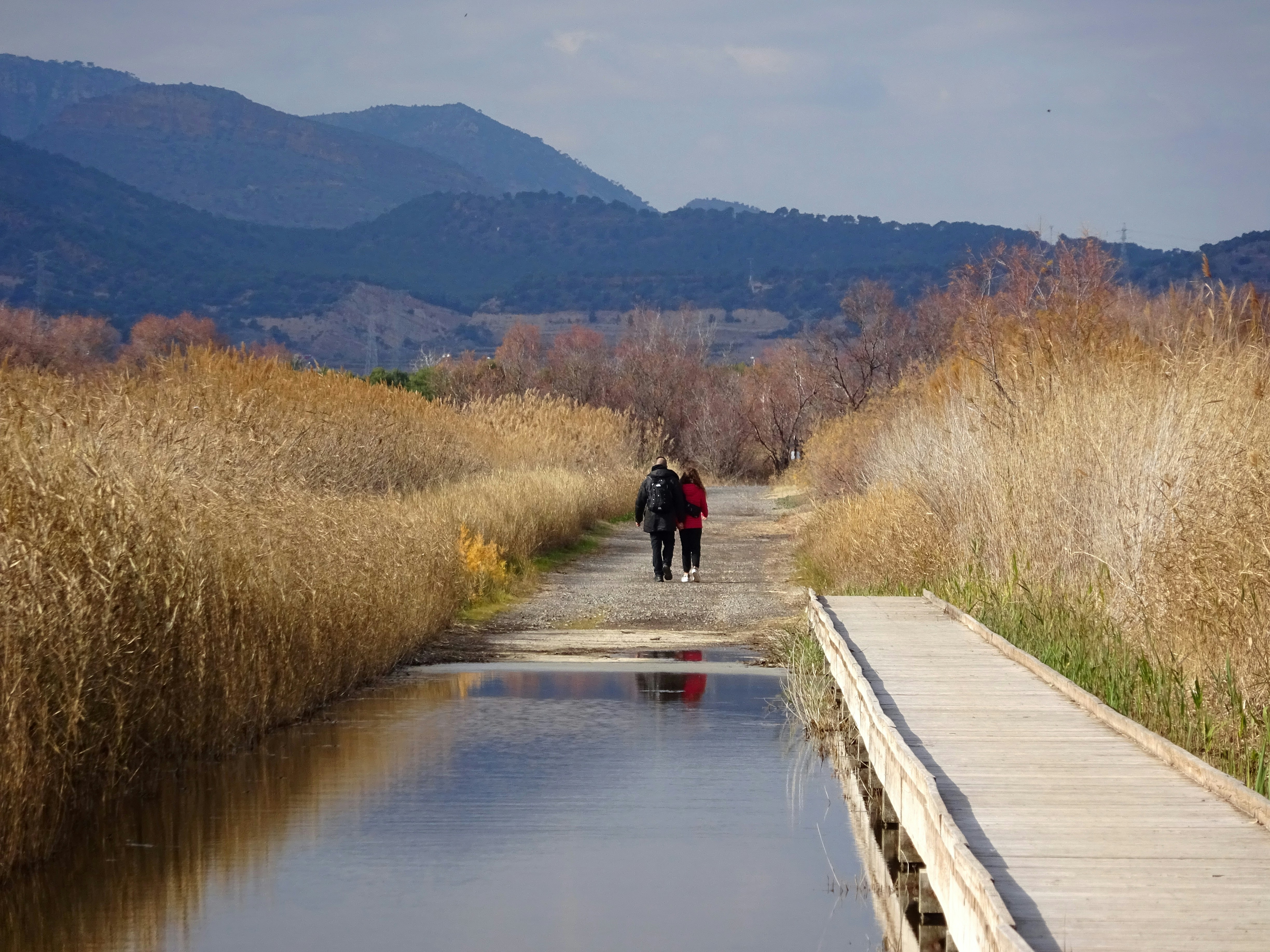 lakeside joggers on path - apartments near lake michigan