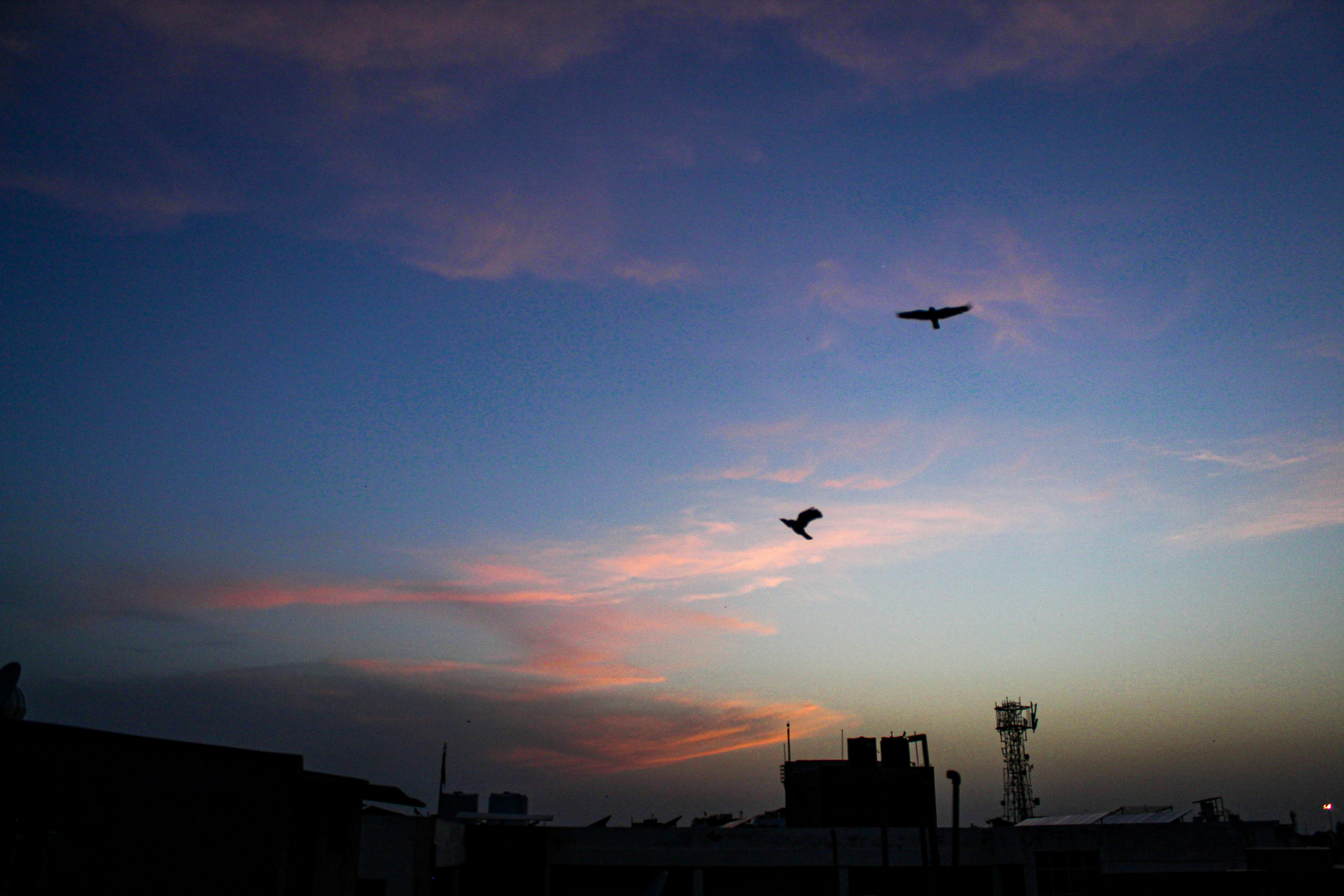 Photo by kshitiznarula
