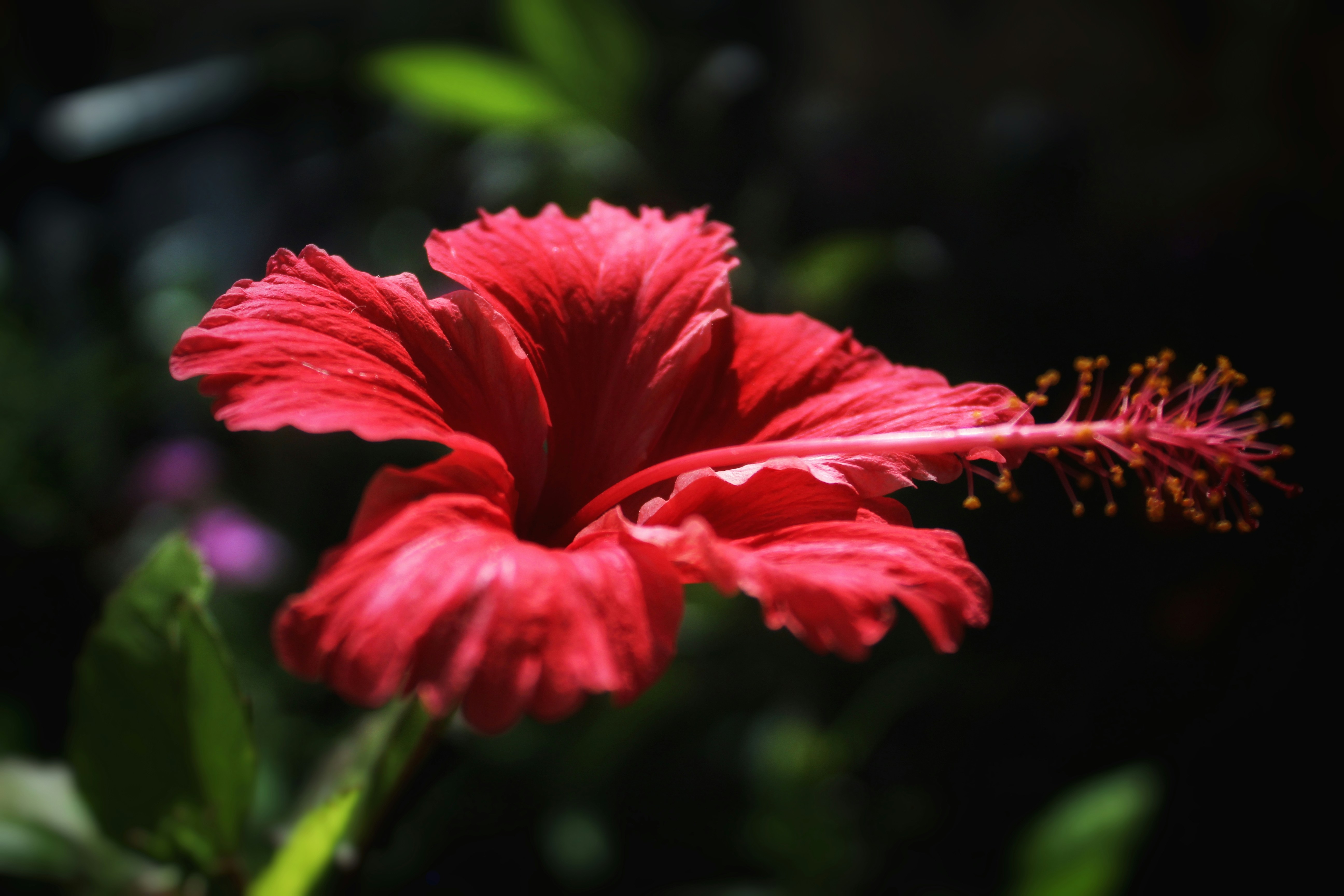 Photo by kshitiznarula