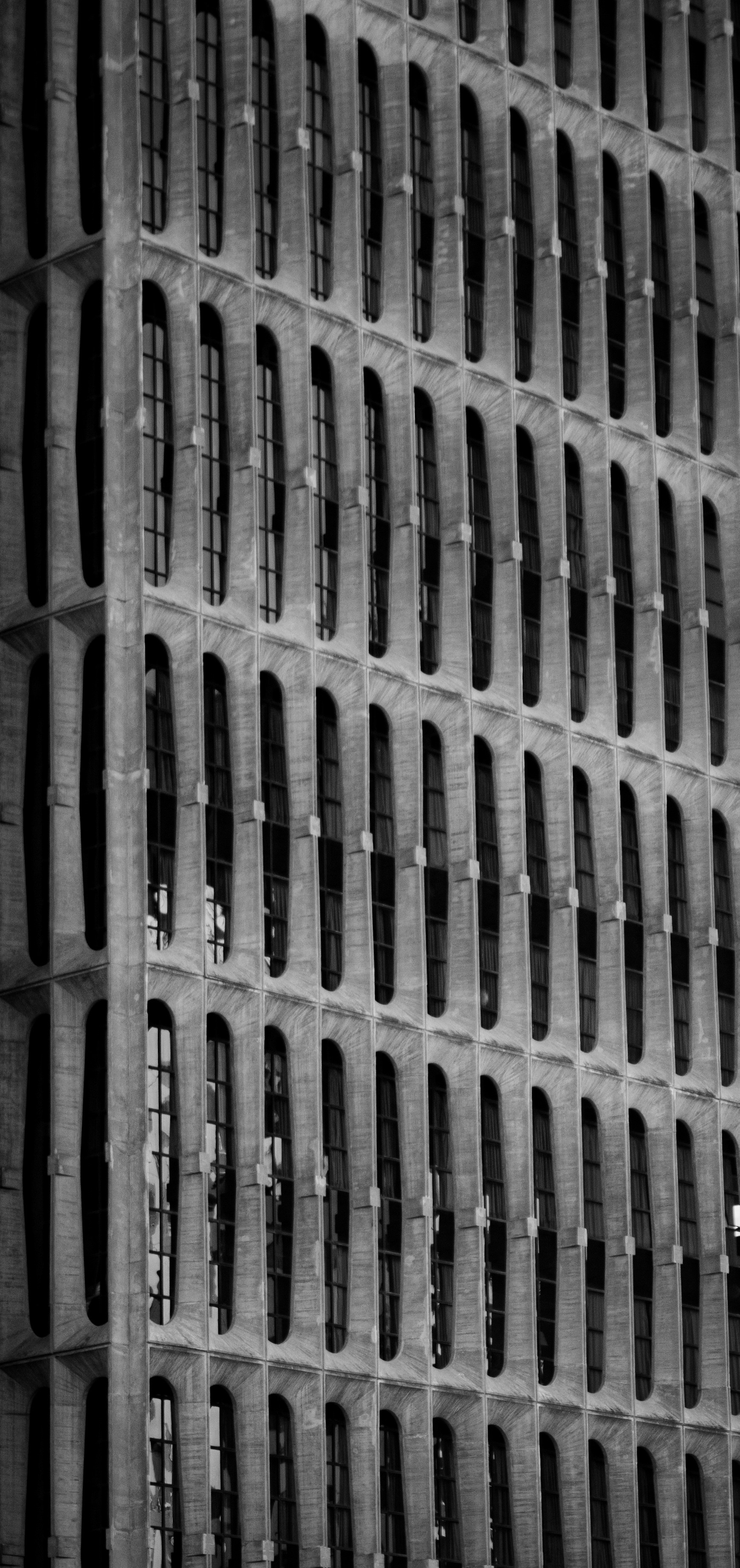 Photo by paulo_pescada