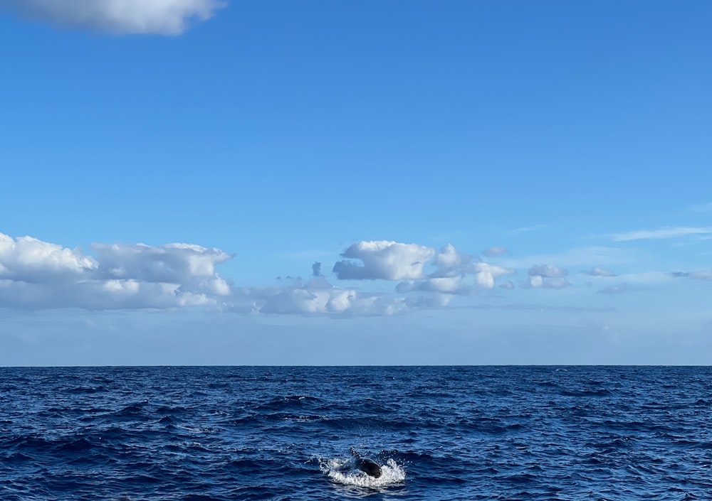 a large body of water with clouds in the sky