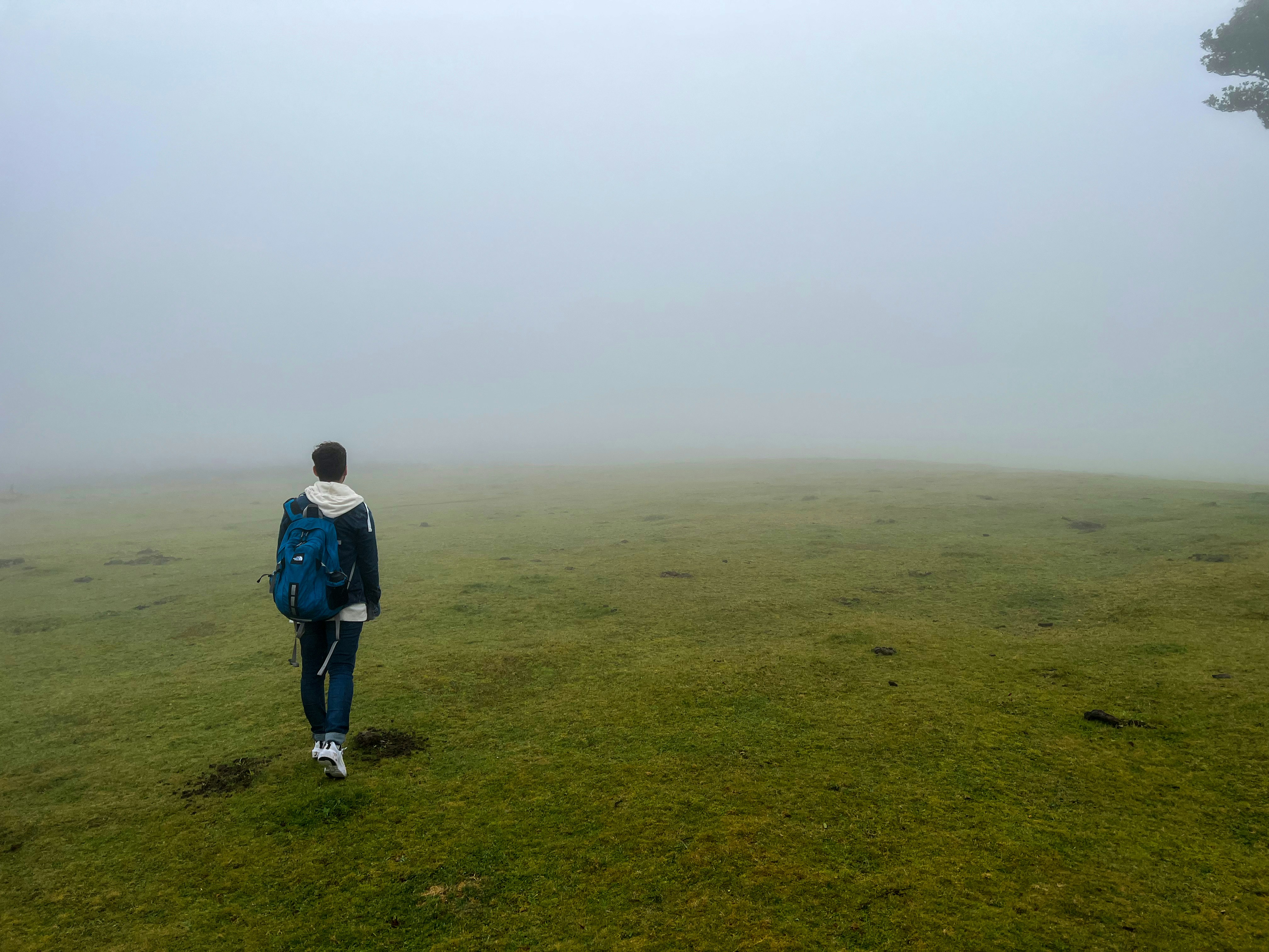 Photo by amirdeljouyi