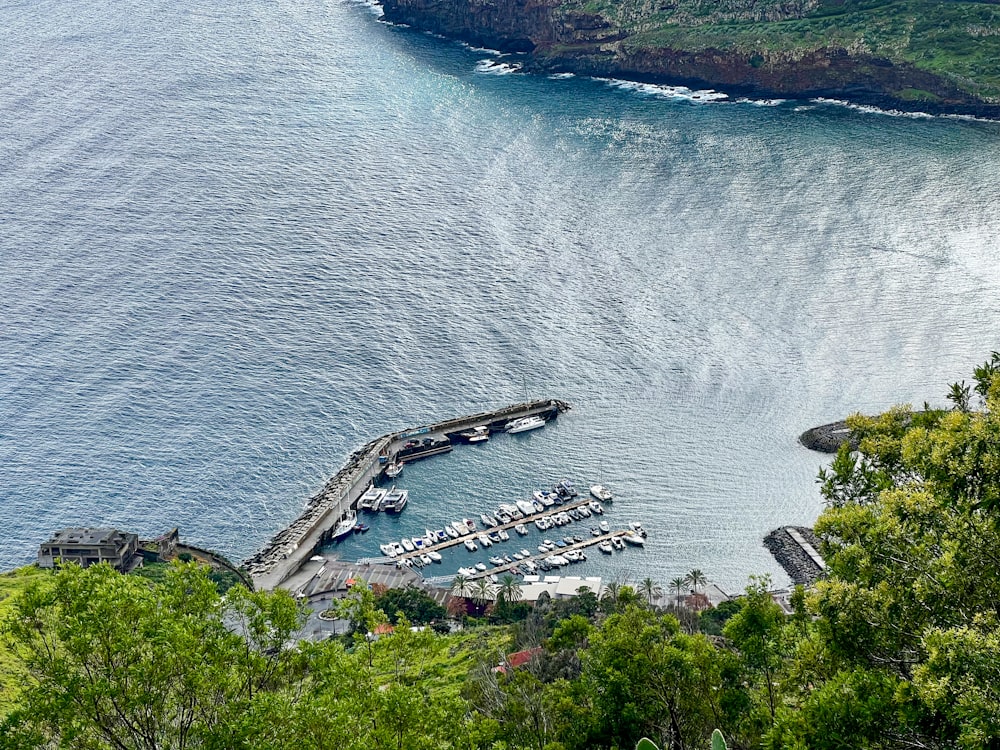 a marina on the edge of a large body of water