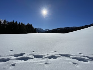 the sun is shining over a snowy field