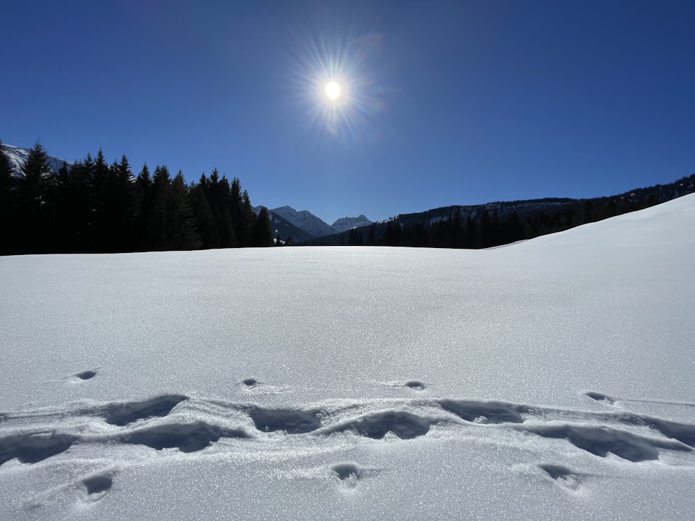 the sun is shining over a snowy field