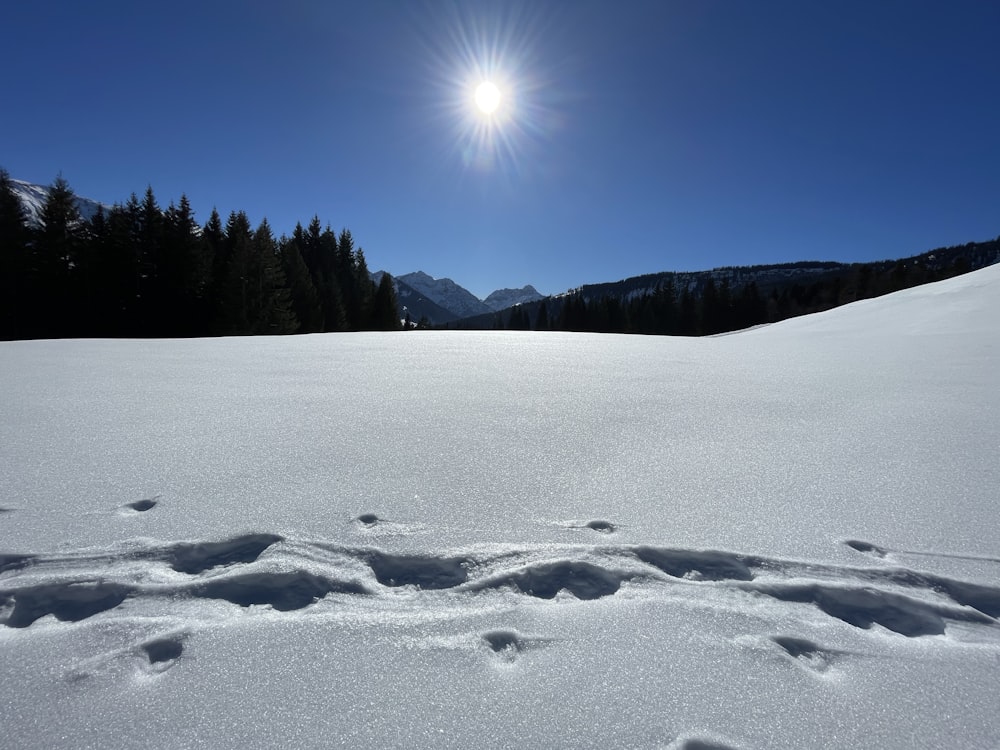 the sun is shining over a snowy field