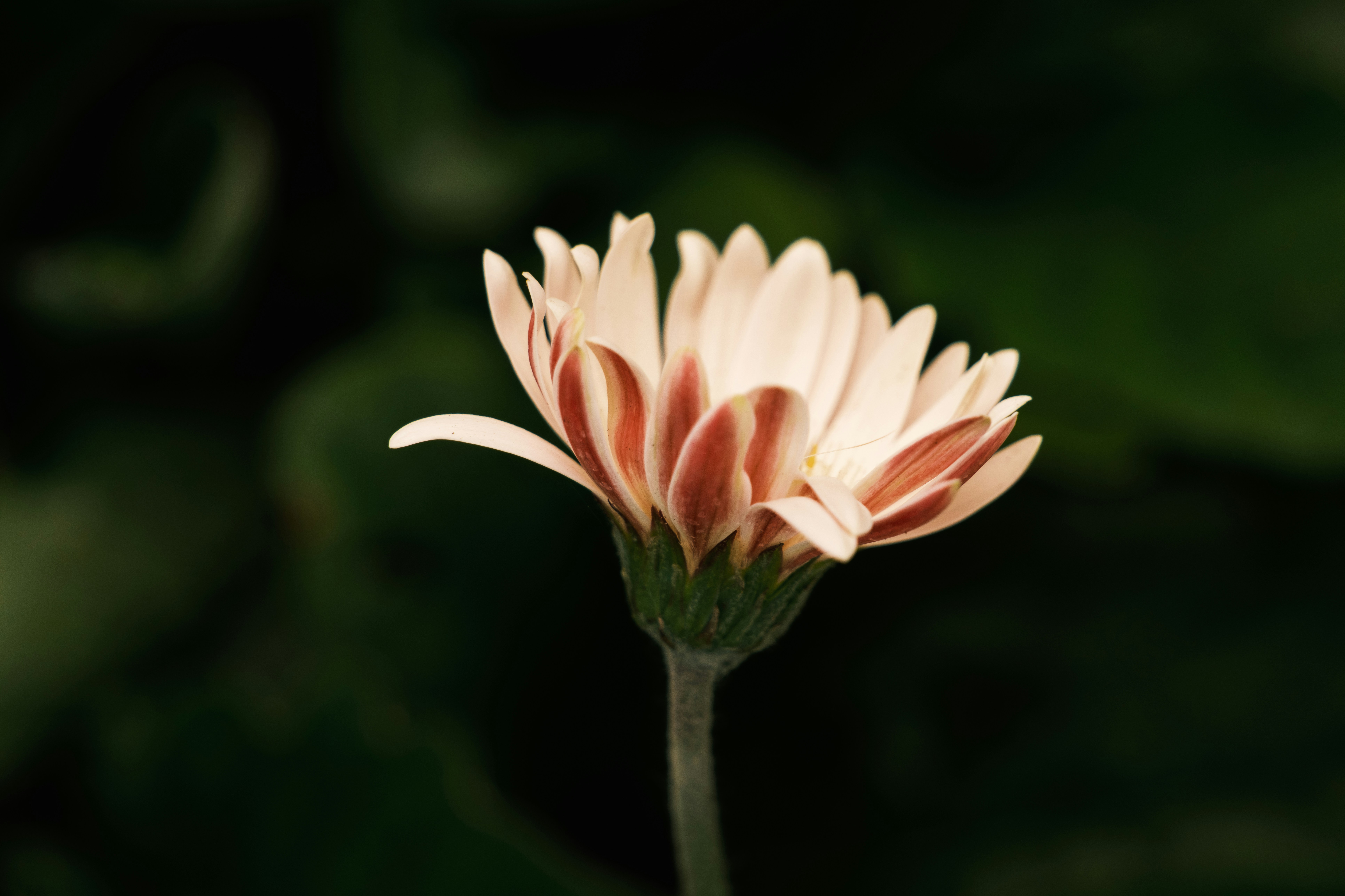 Photo by april_vasquez