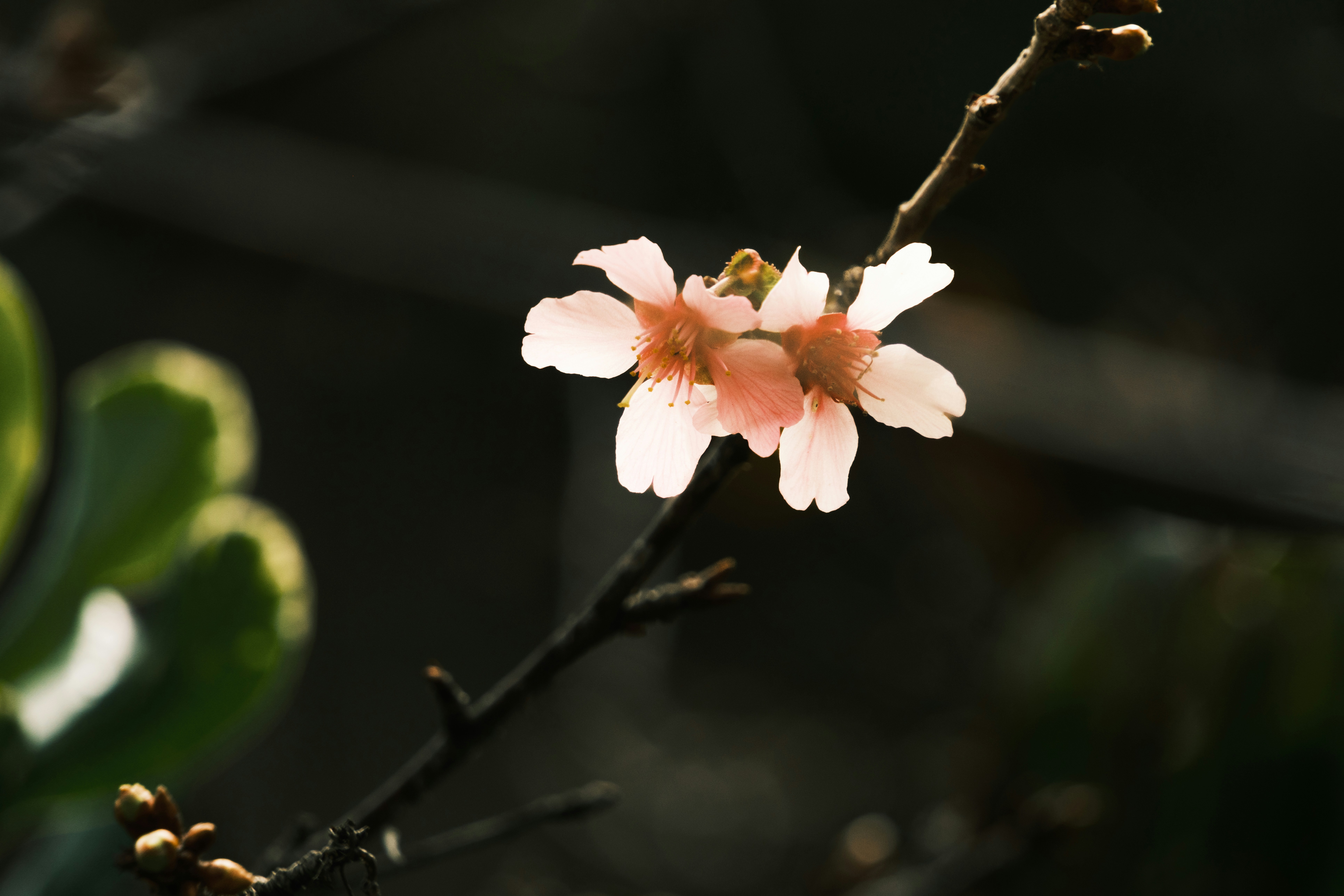 Photo by april_vasquez