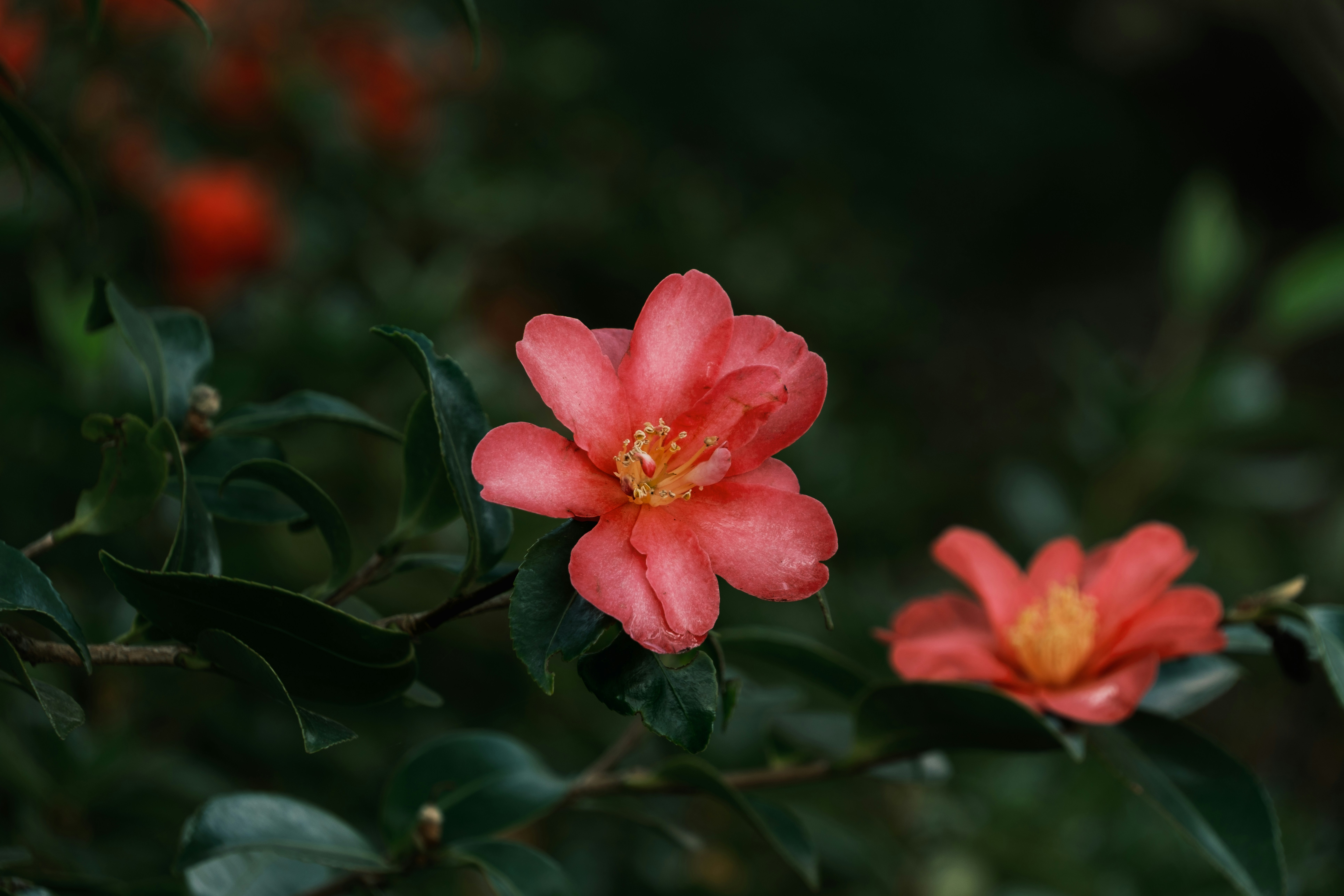 Photo by april_vasquez