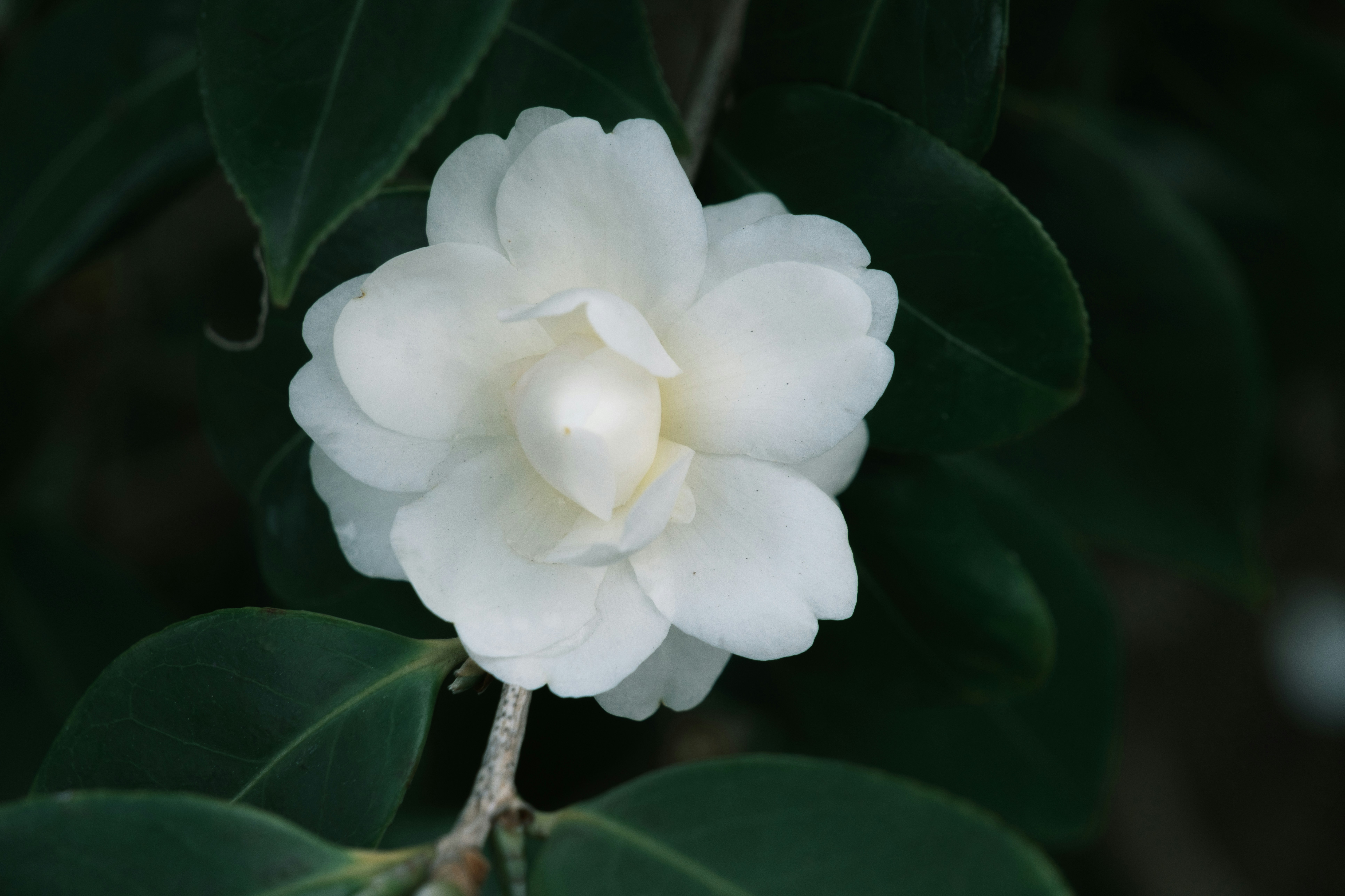 Photo by april_vasquez