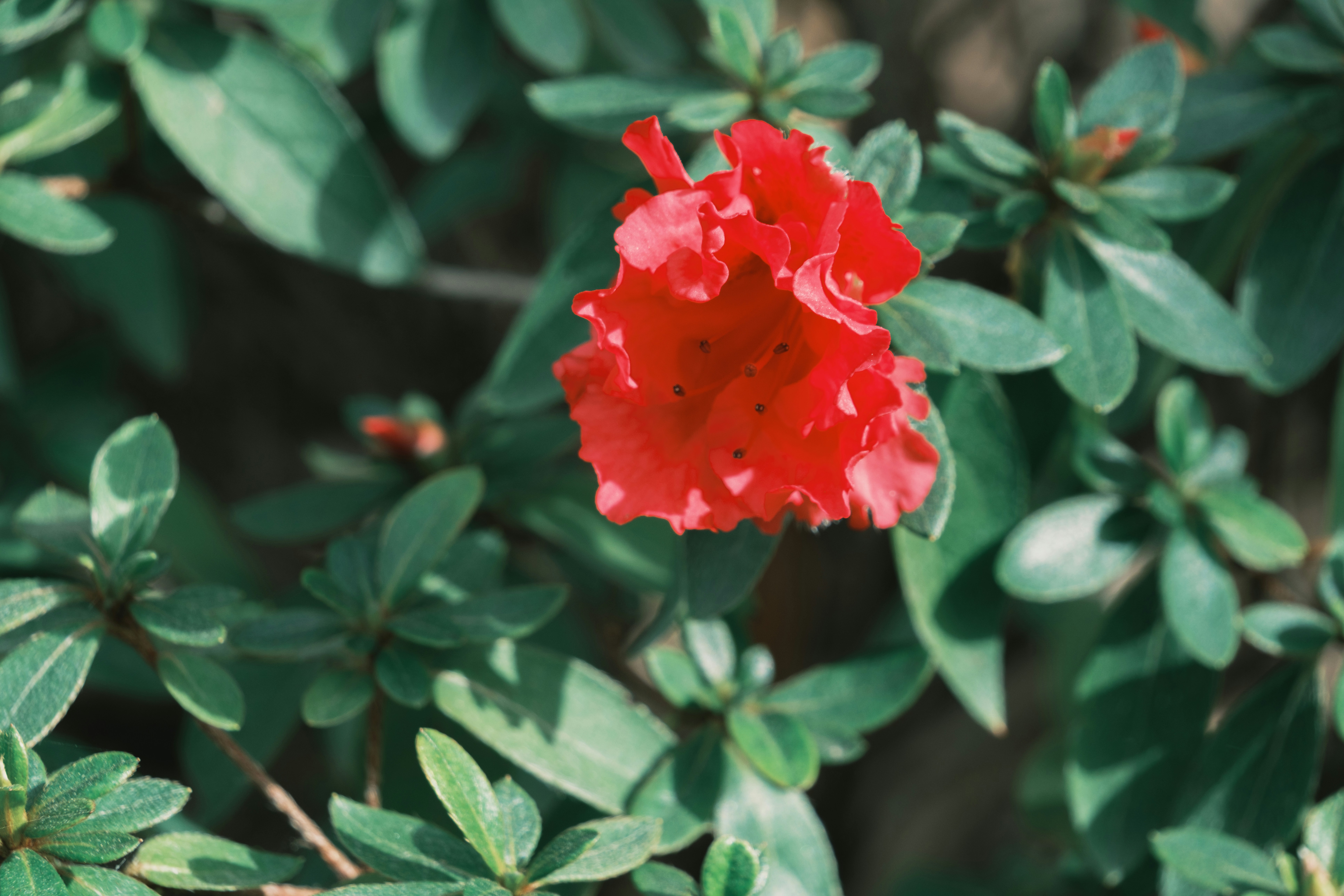 Photo by april_vasquez