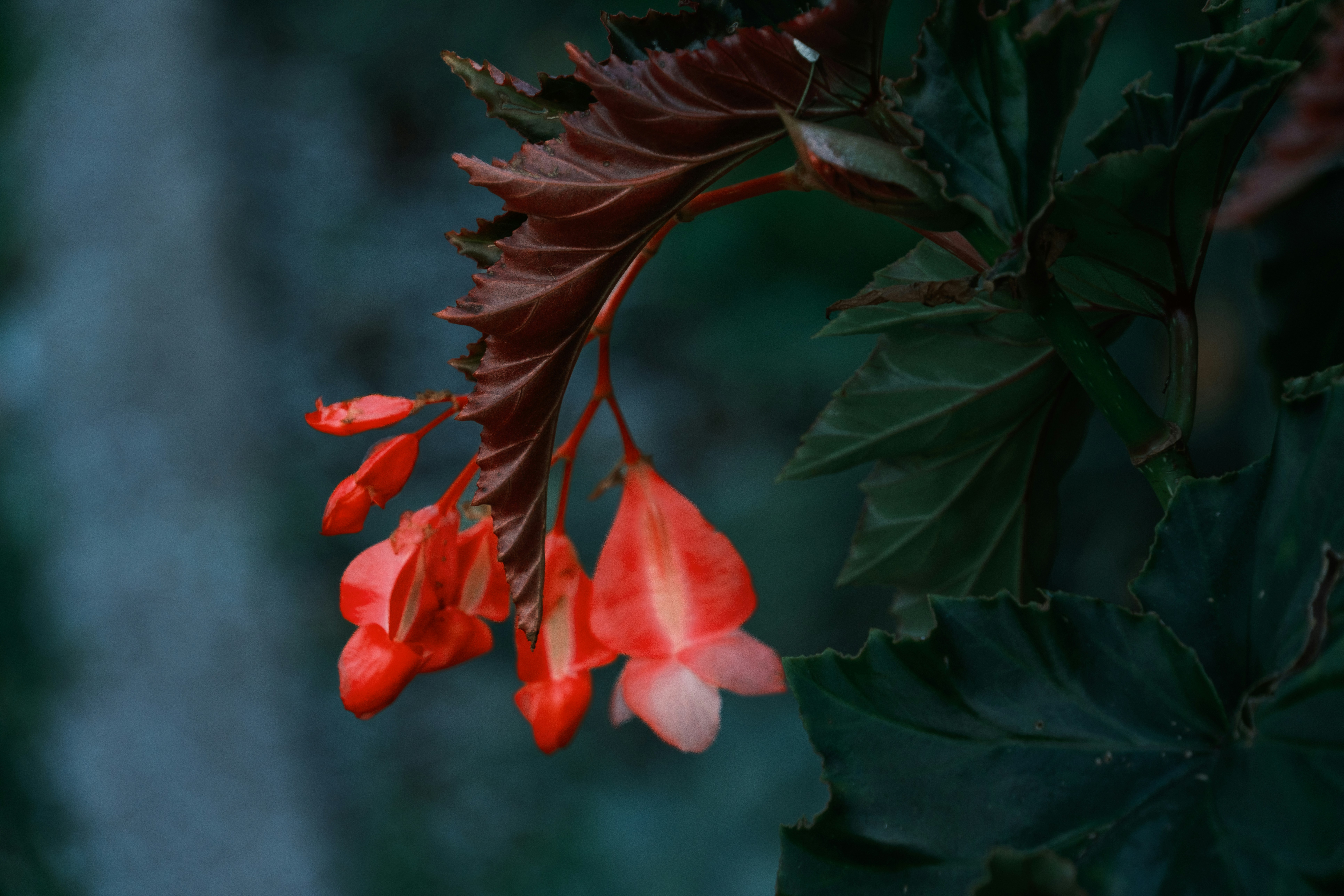 Photo by april_vasquez