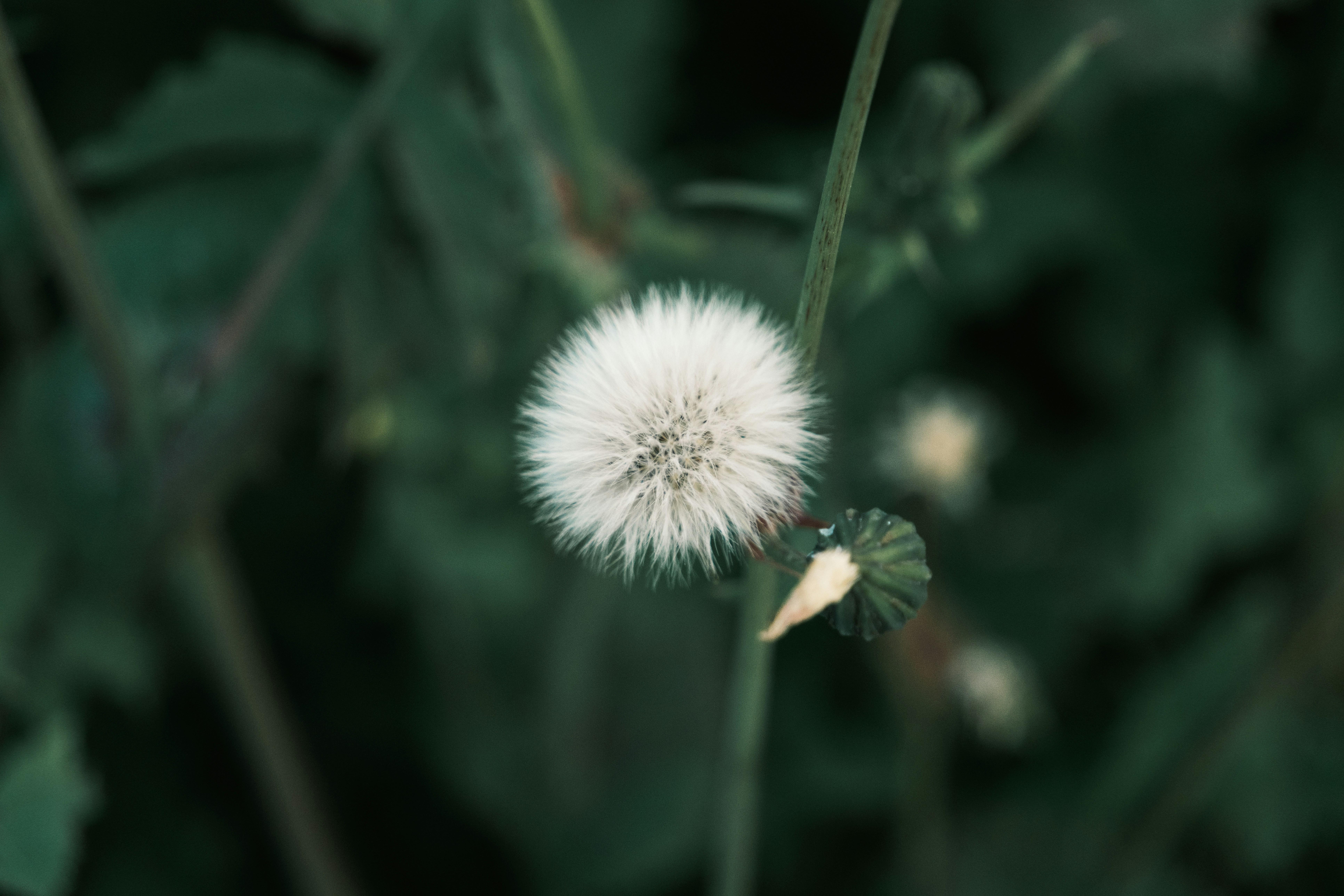 Photo by april_vasquez