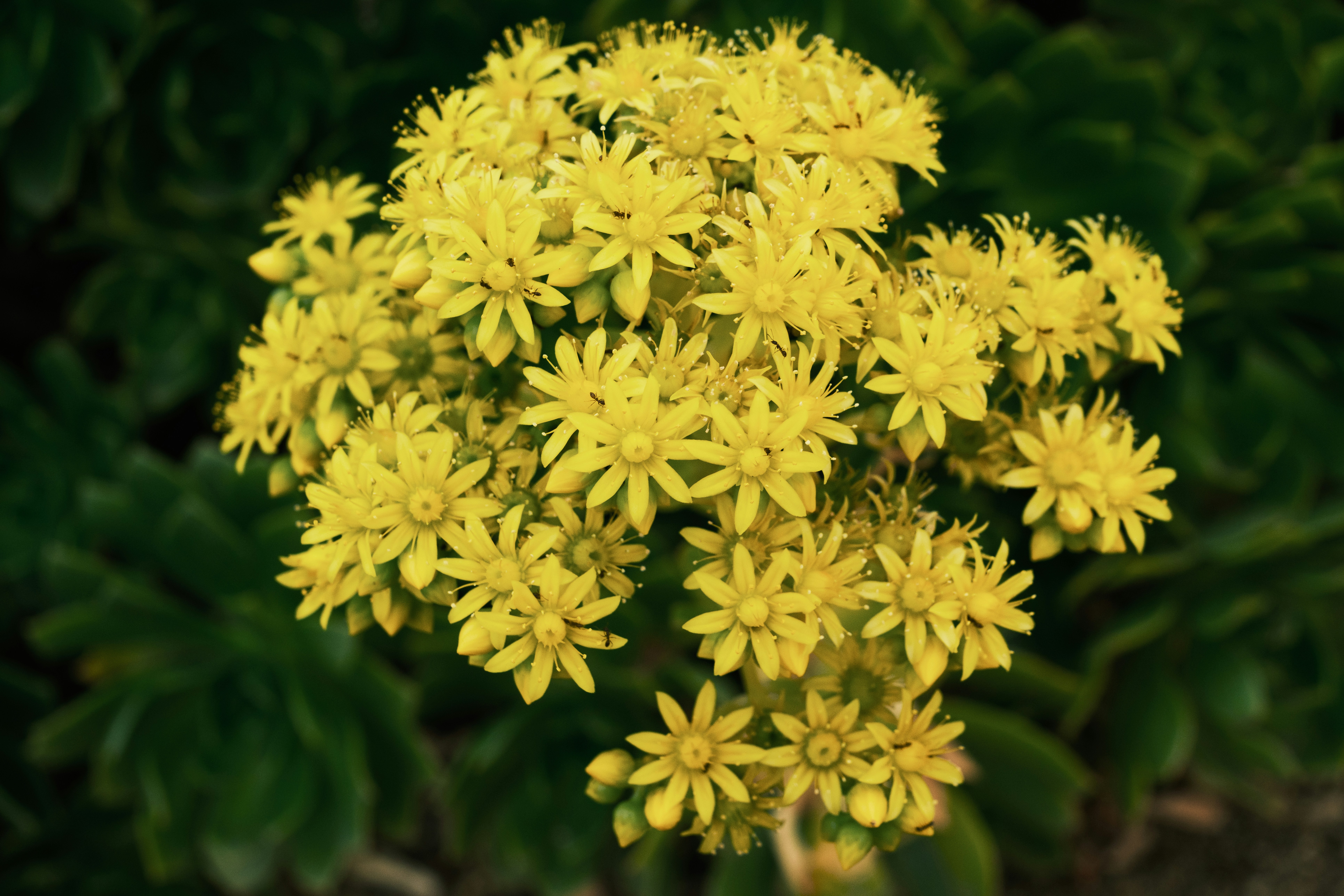 Photo by april_vasquez