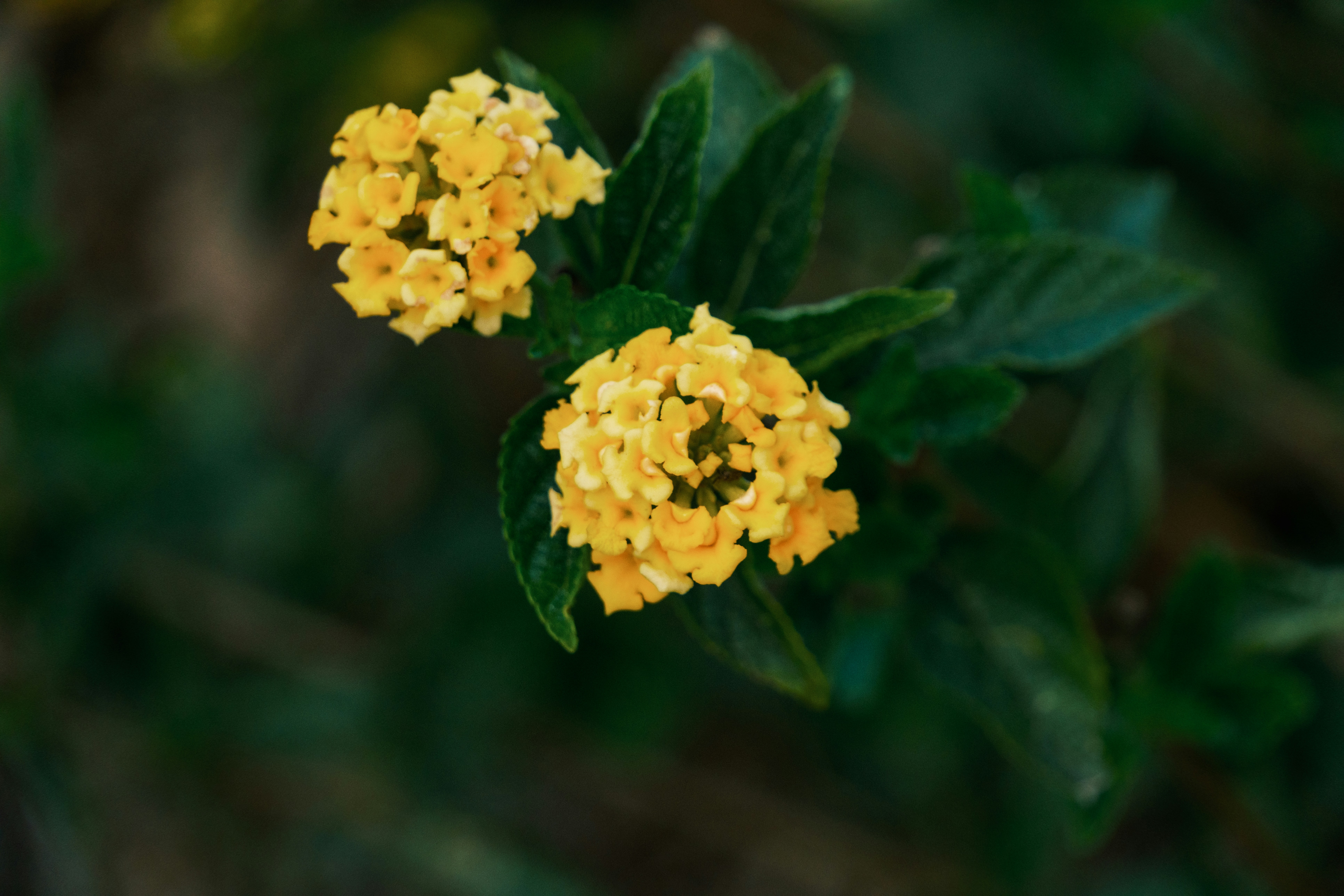 Photo by april_vasquez