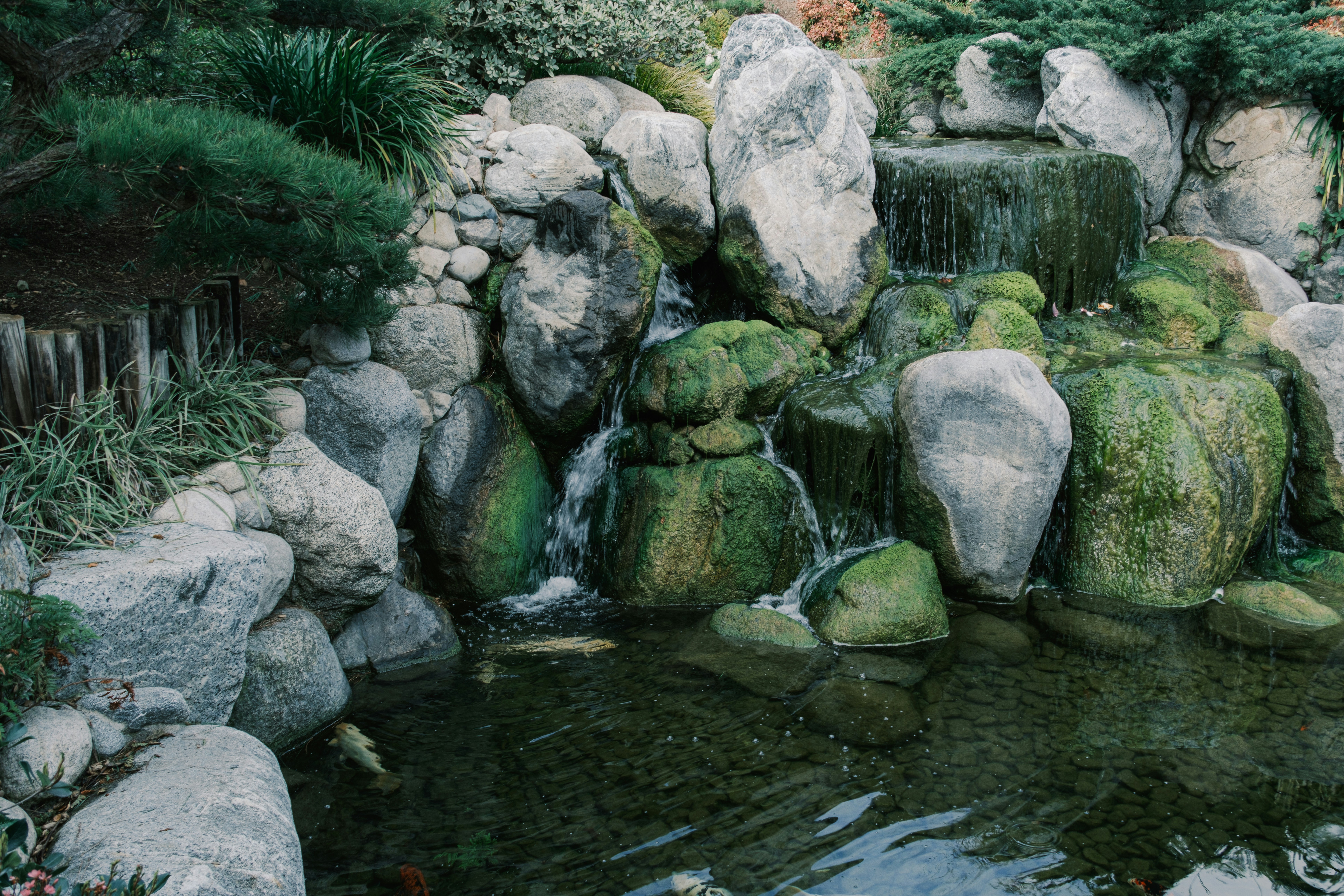 Photo by april_vasquez