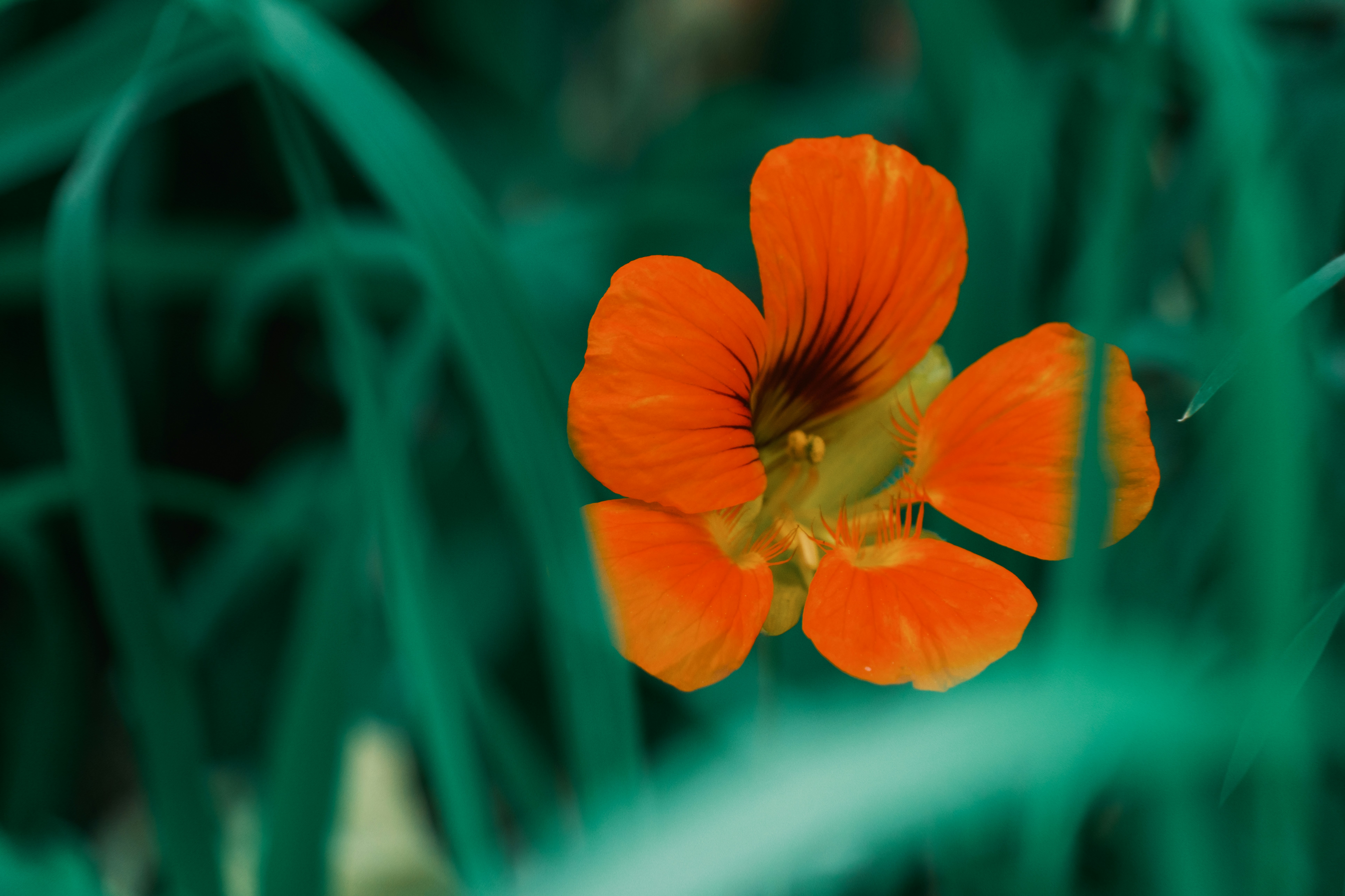 Photo by april_vasquez