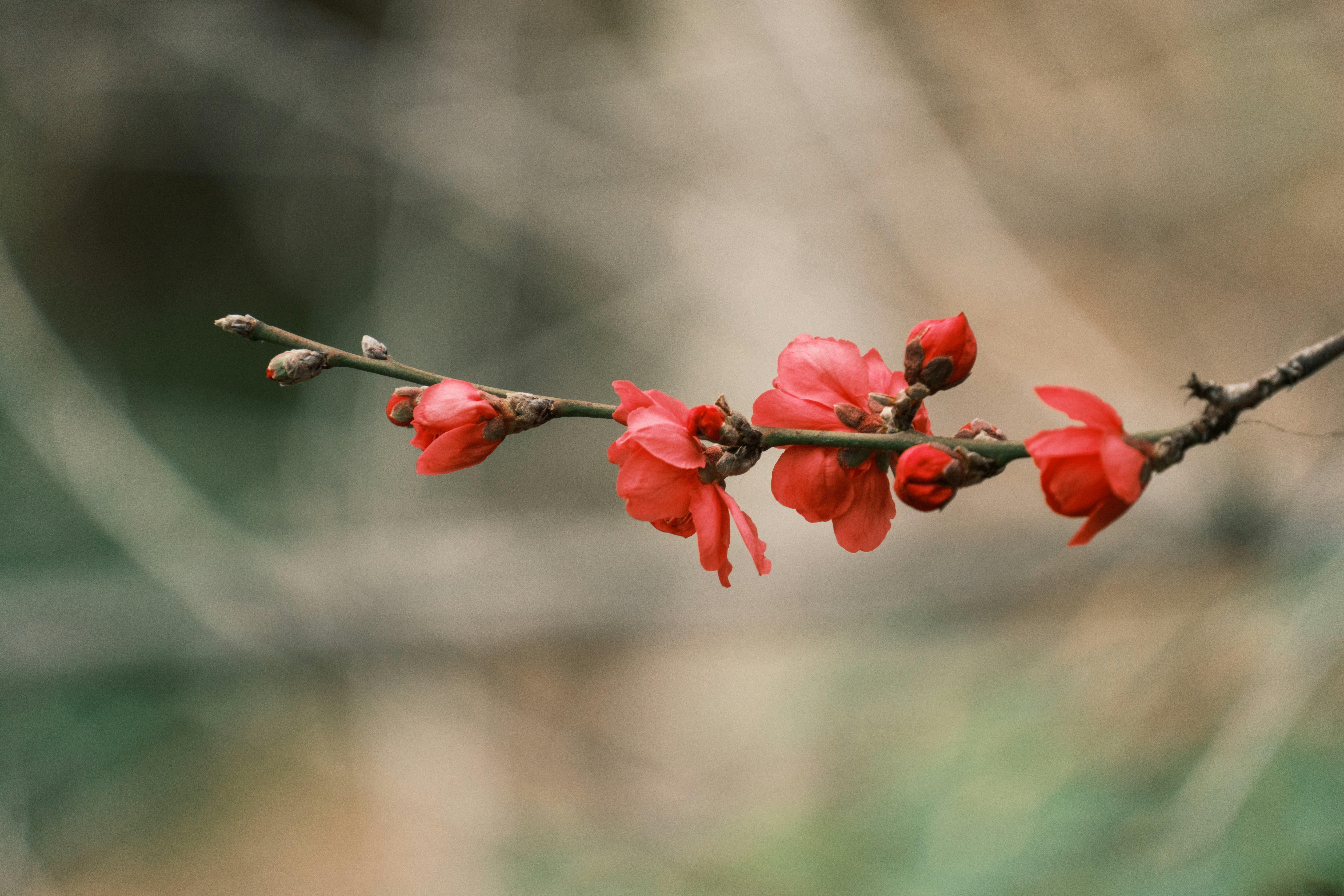 Photo by april_vasquez